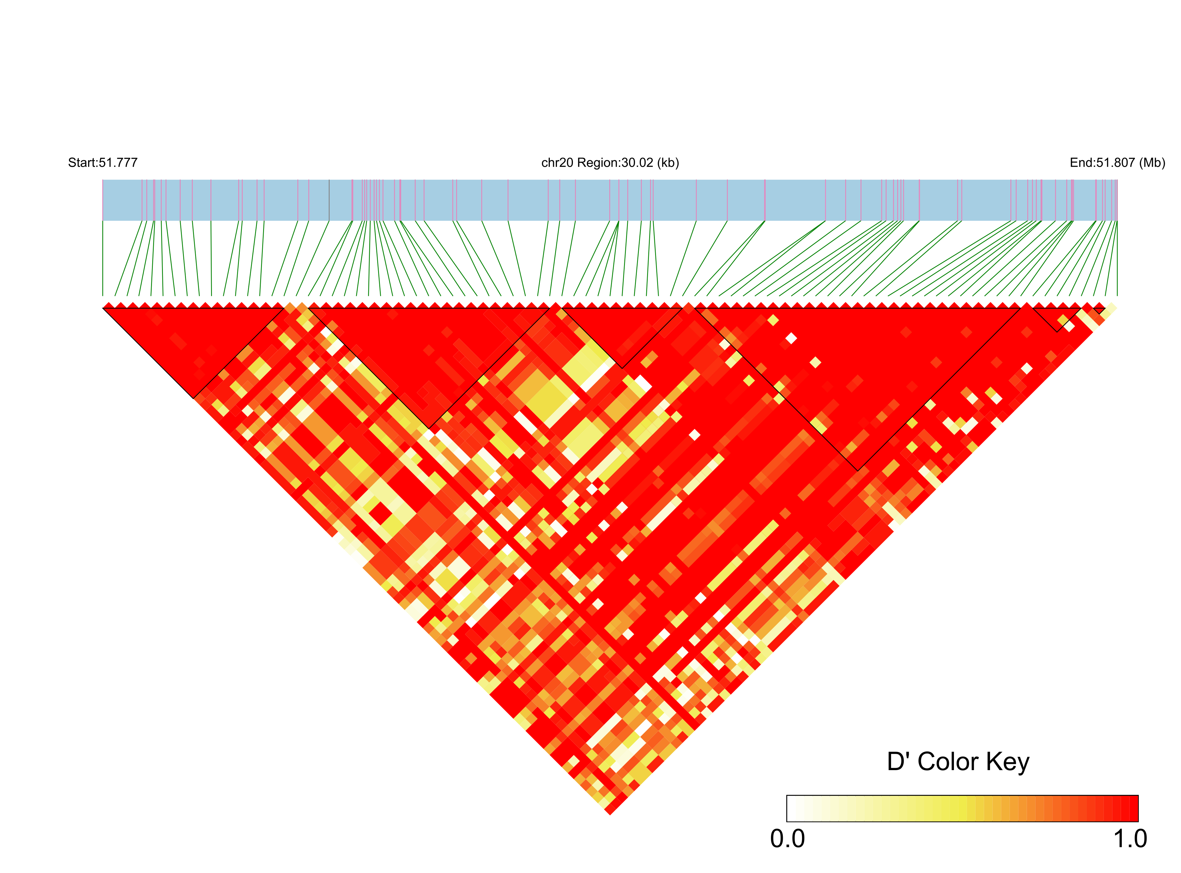 LD