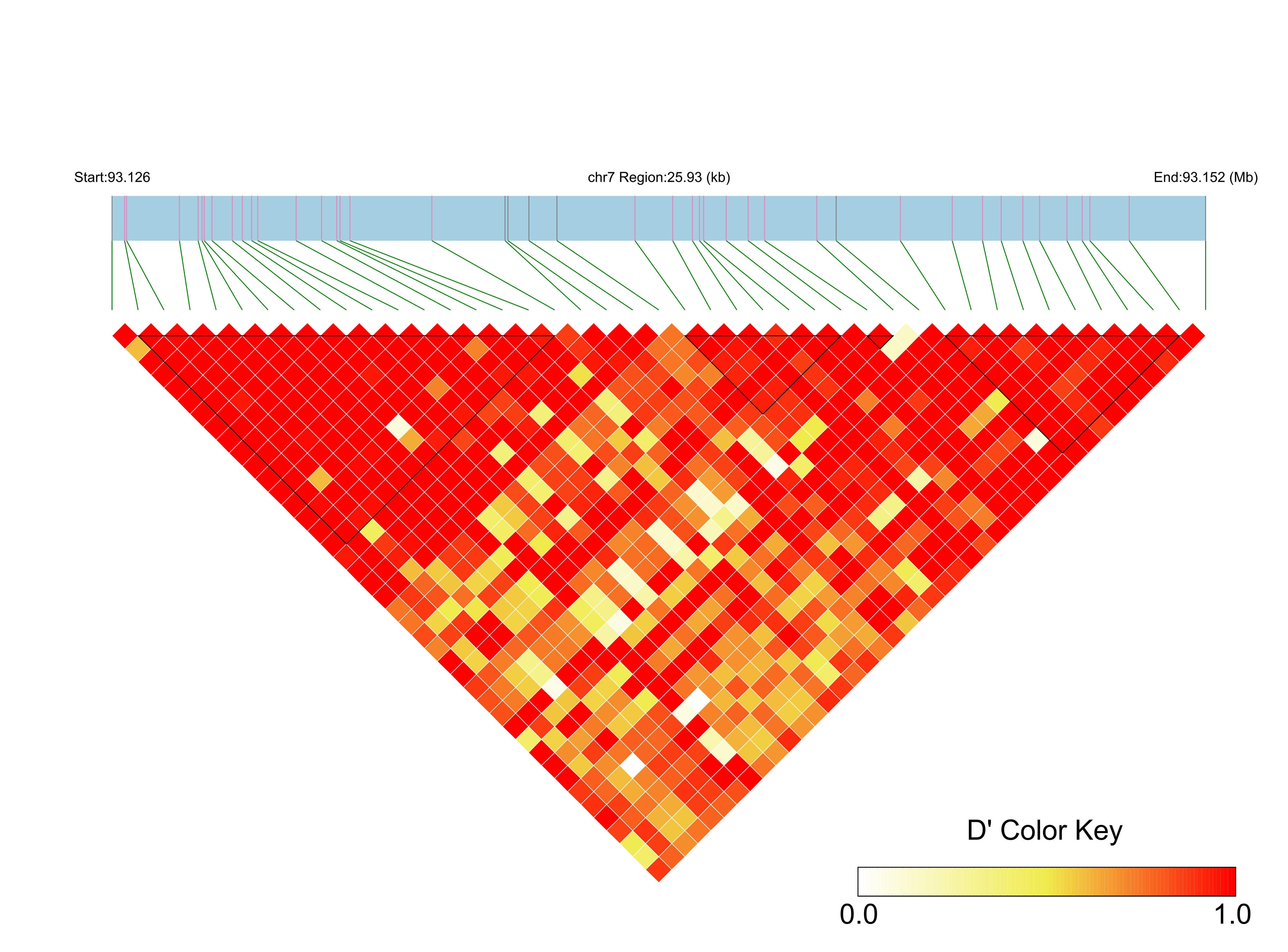 LD