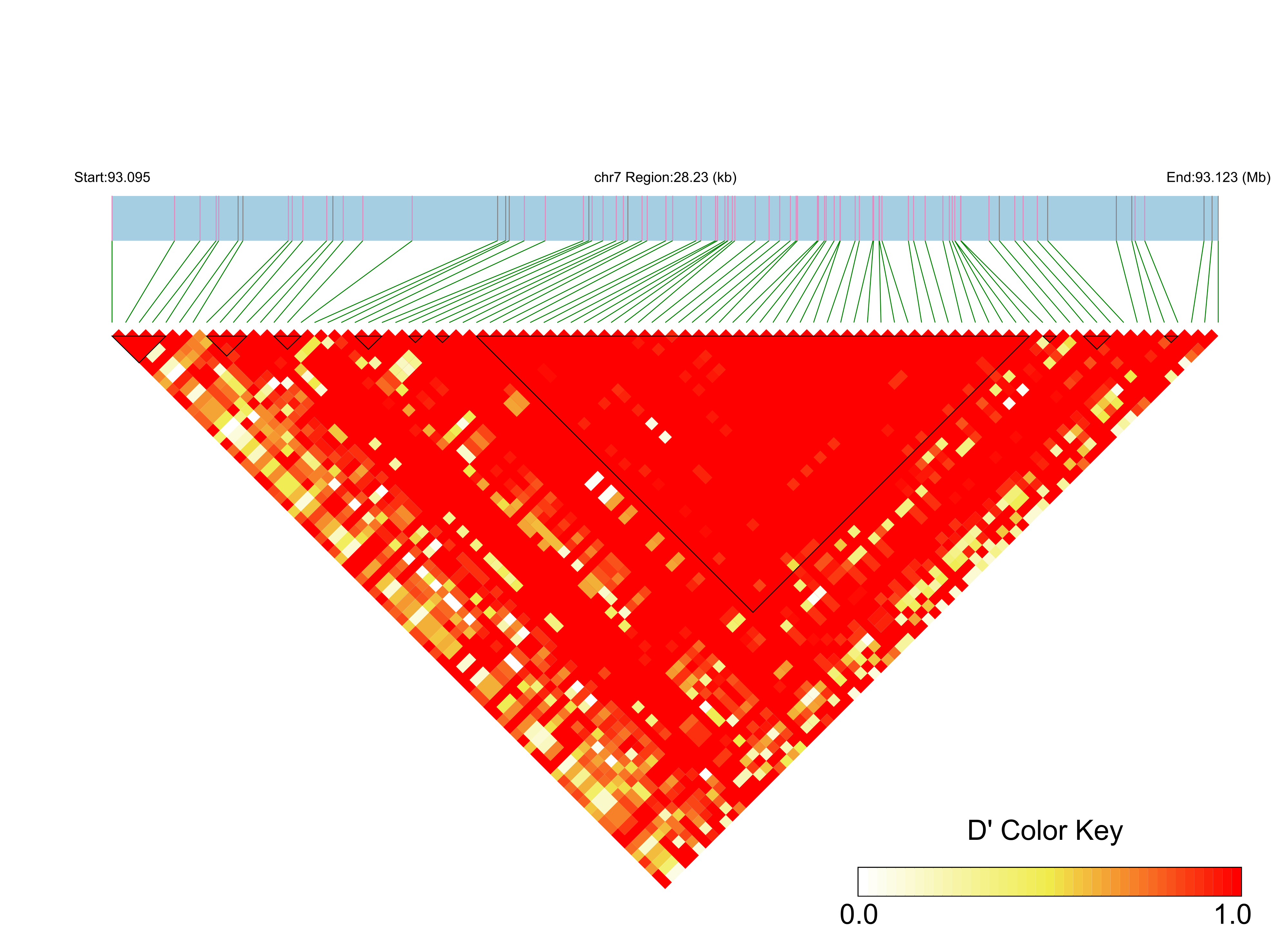 LD