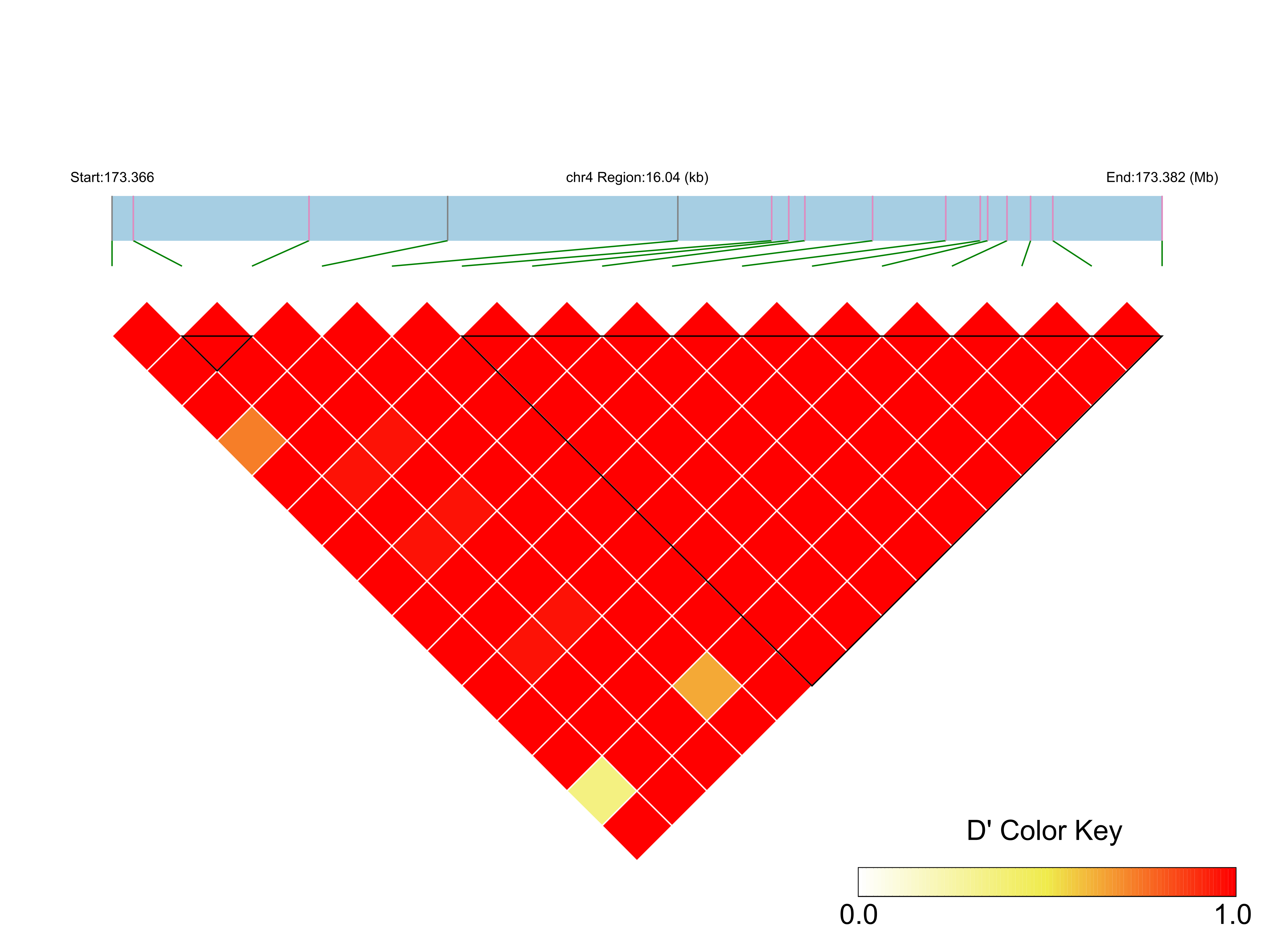 LD