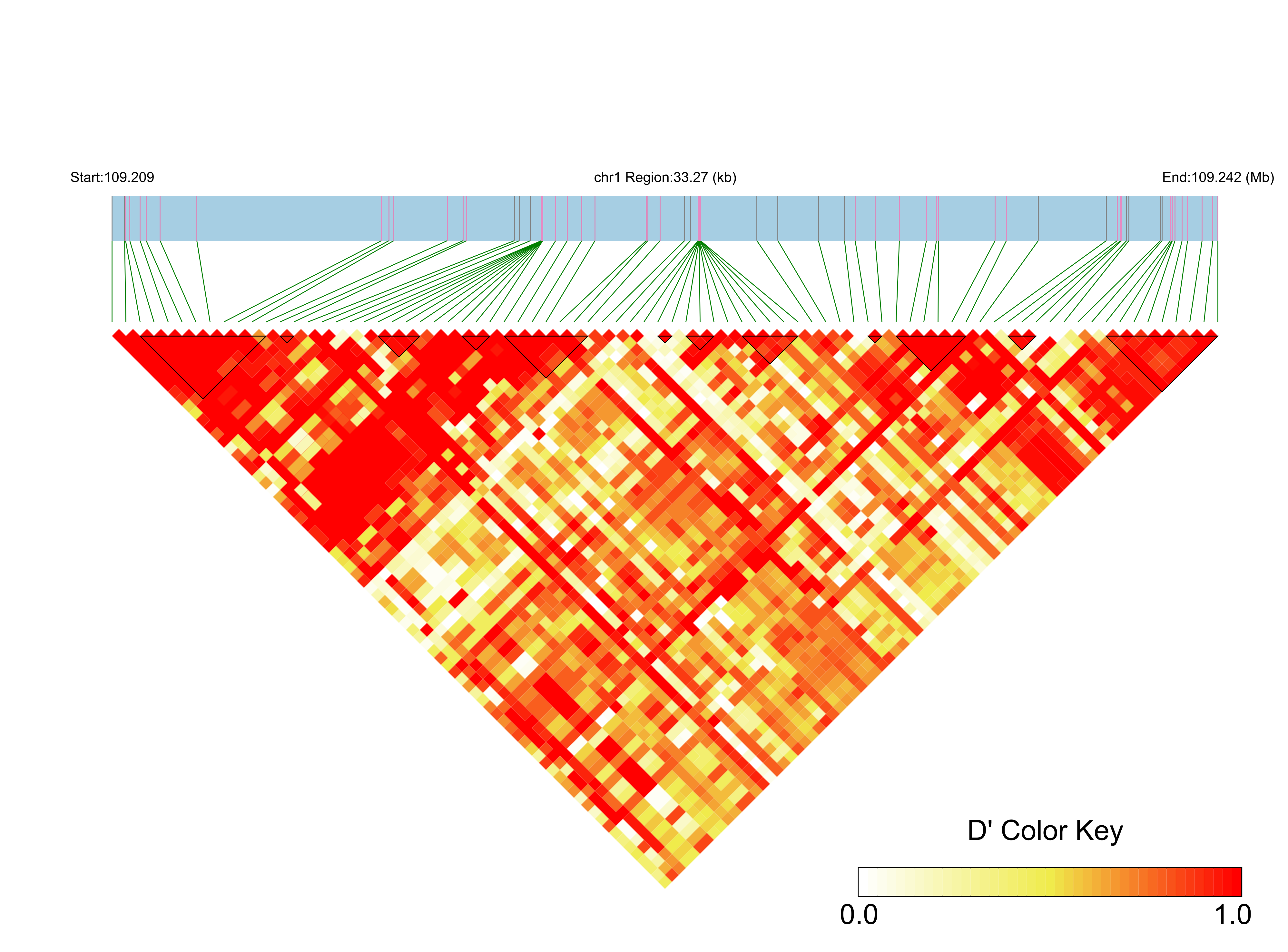 LD