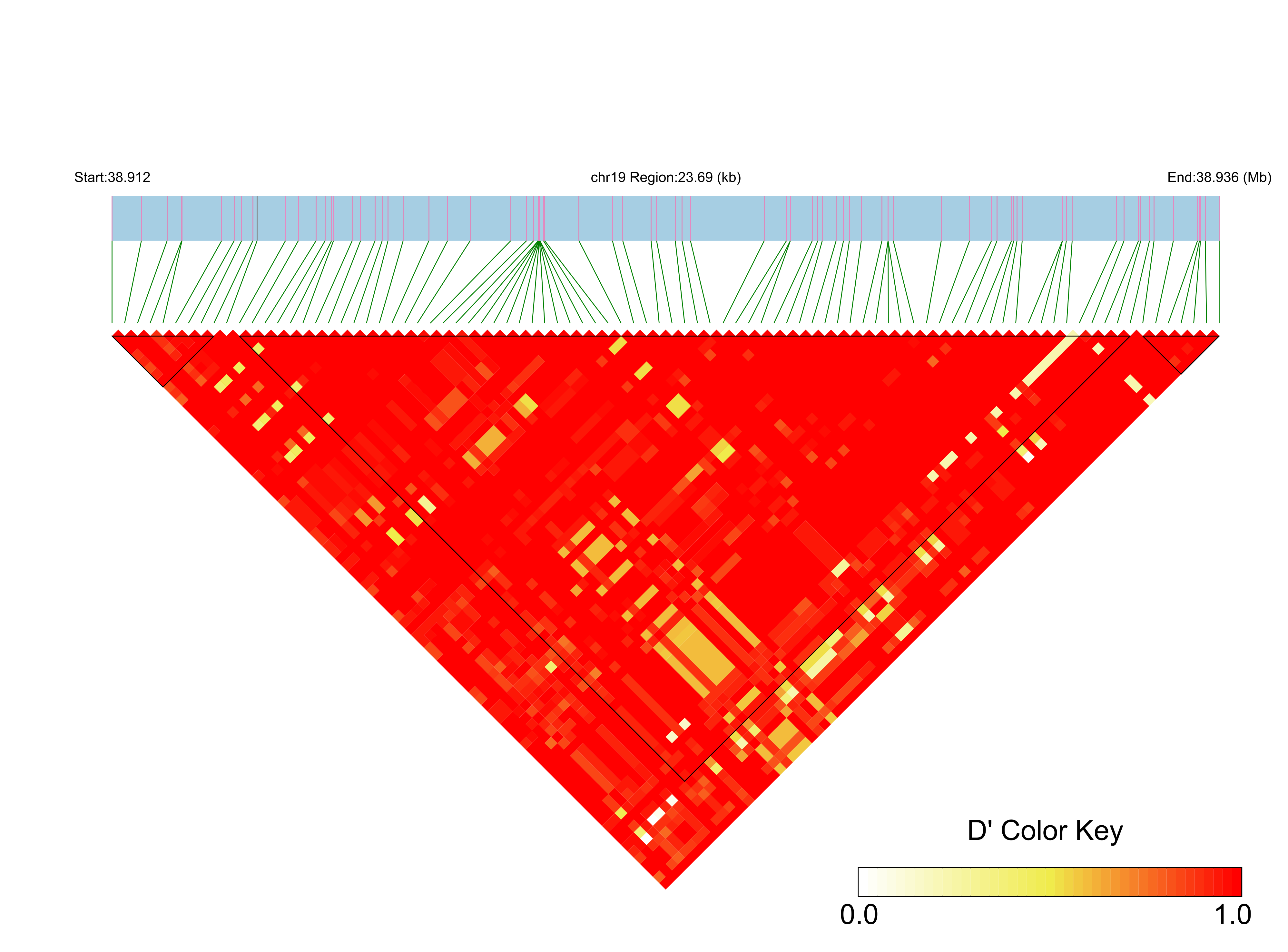 LD