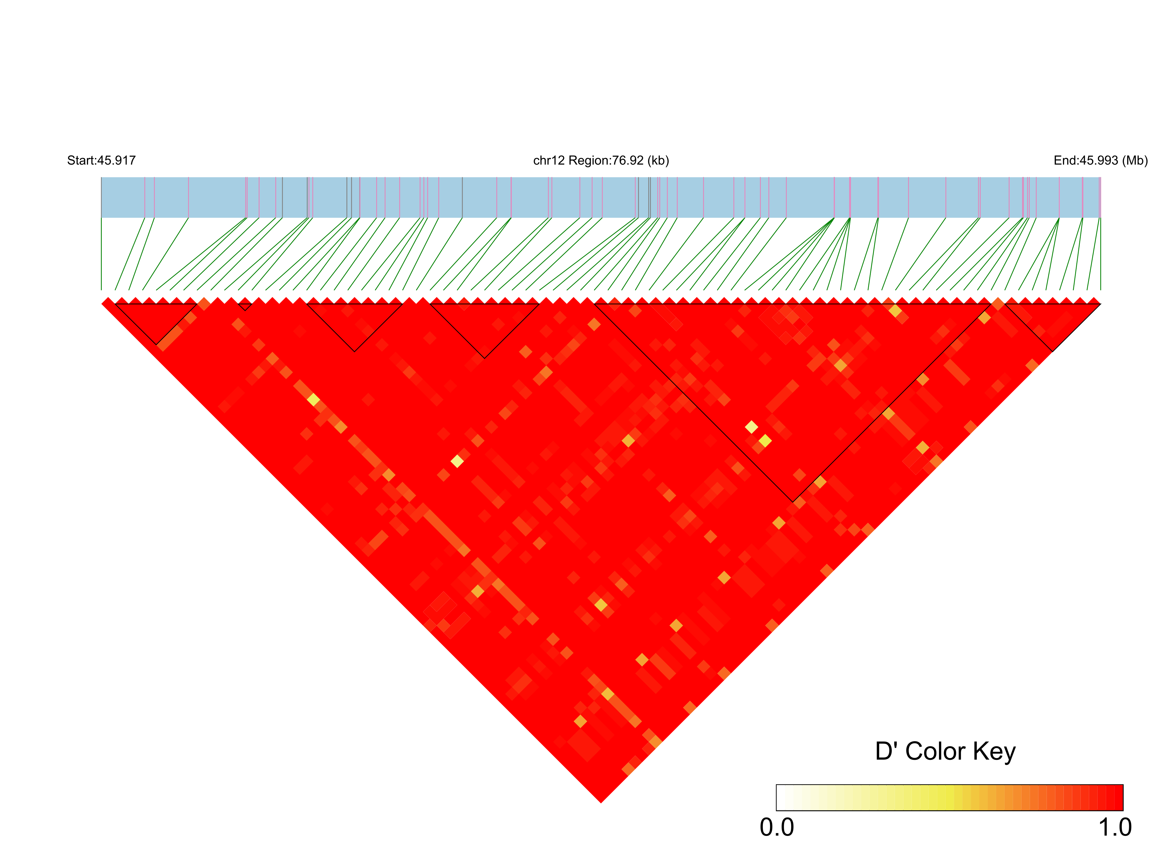 LD