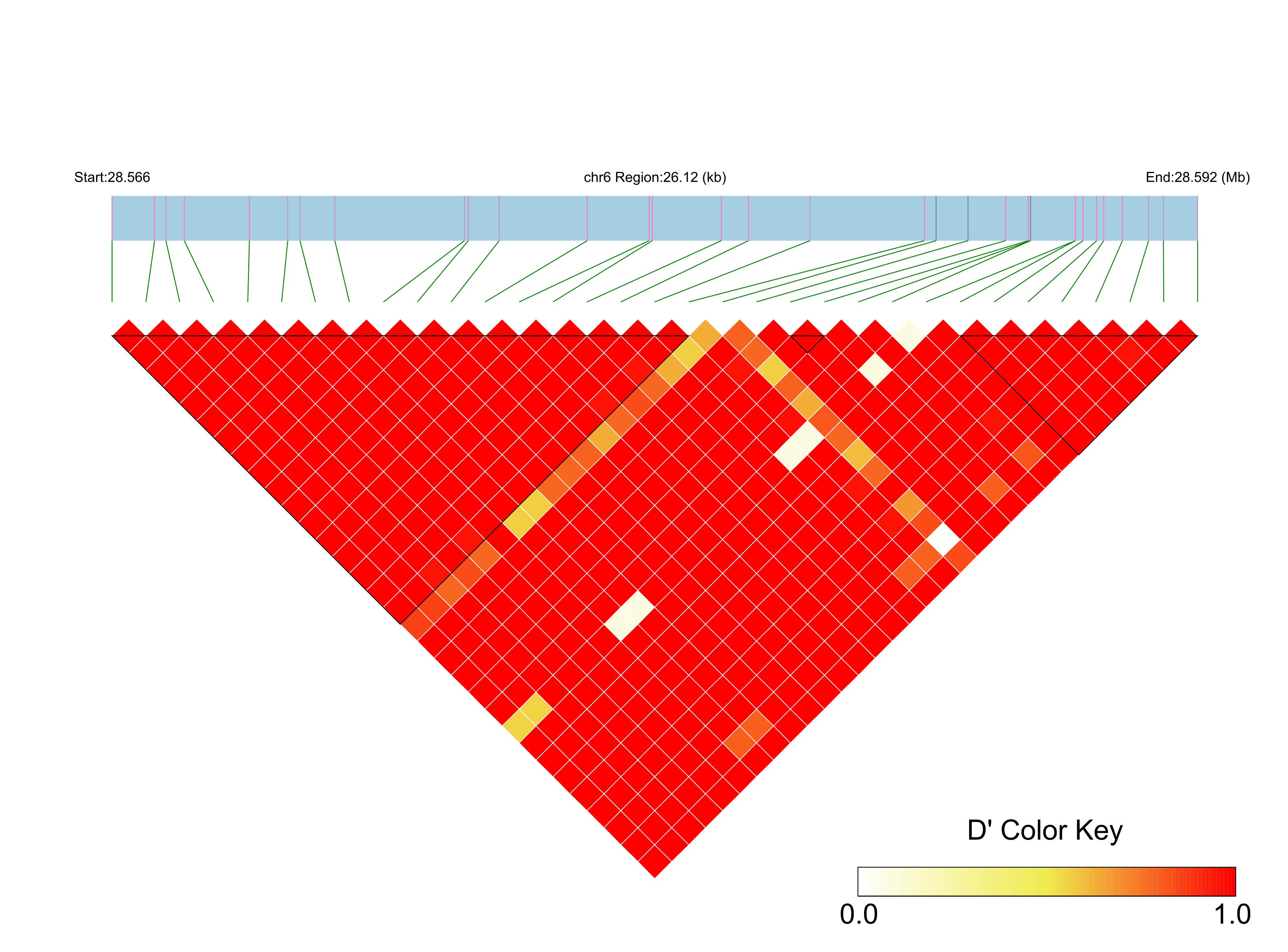 LD