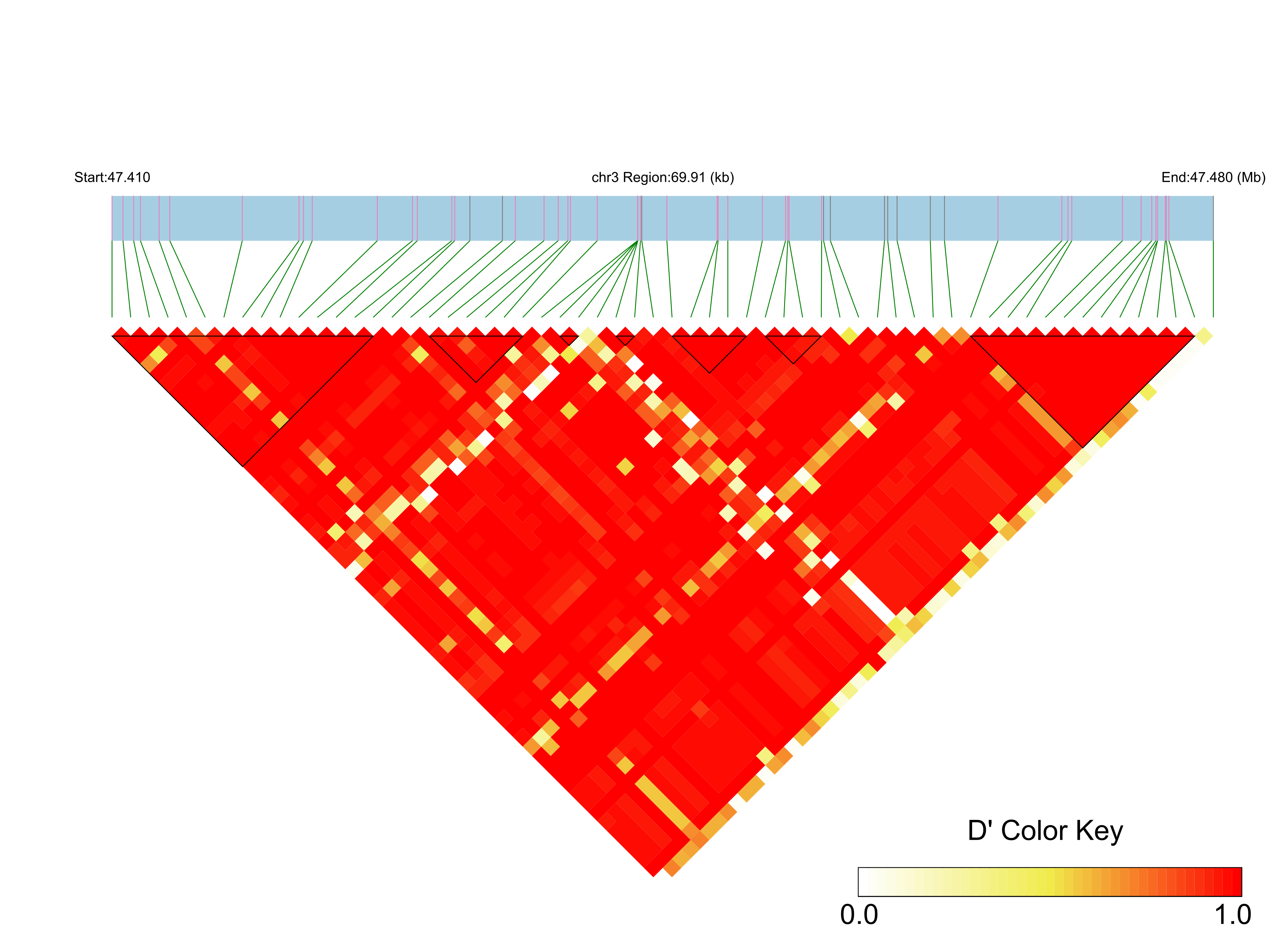 LD