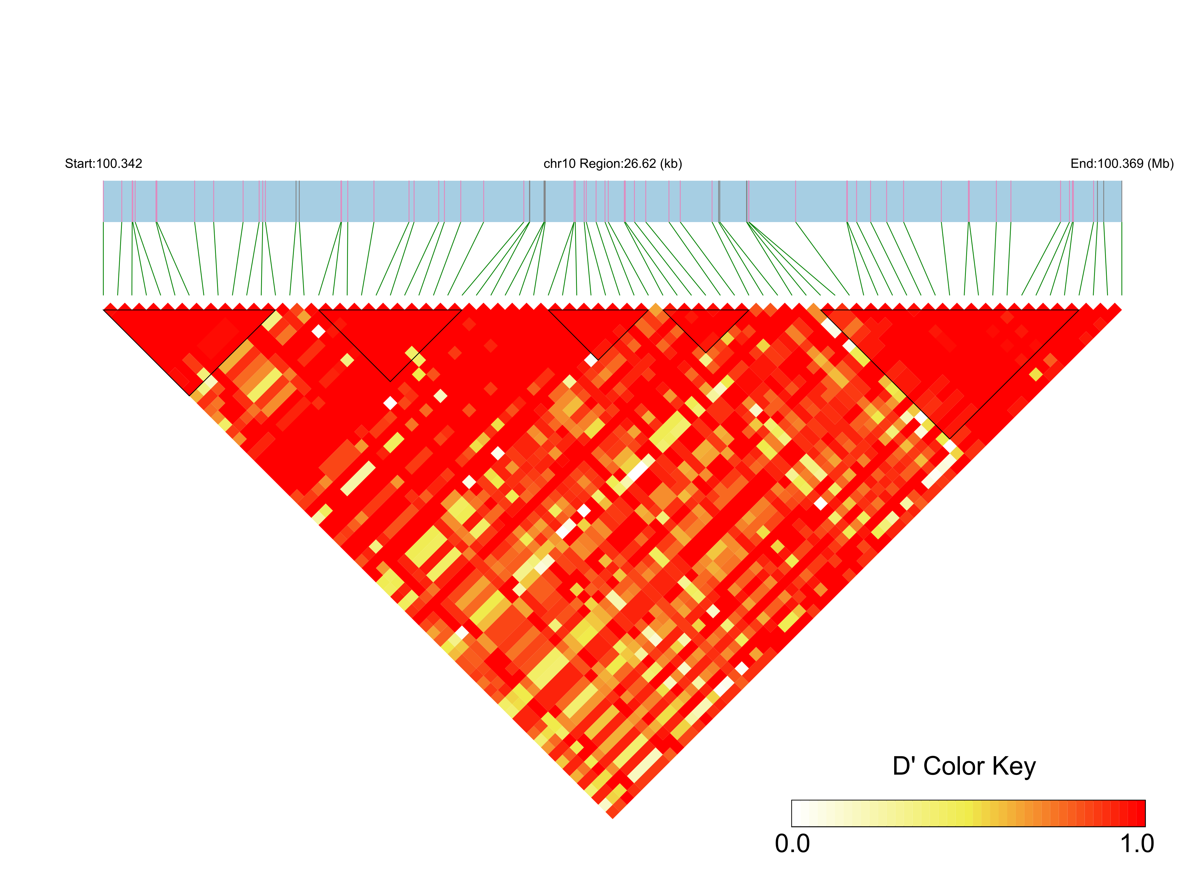 LD