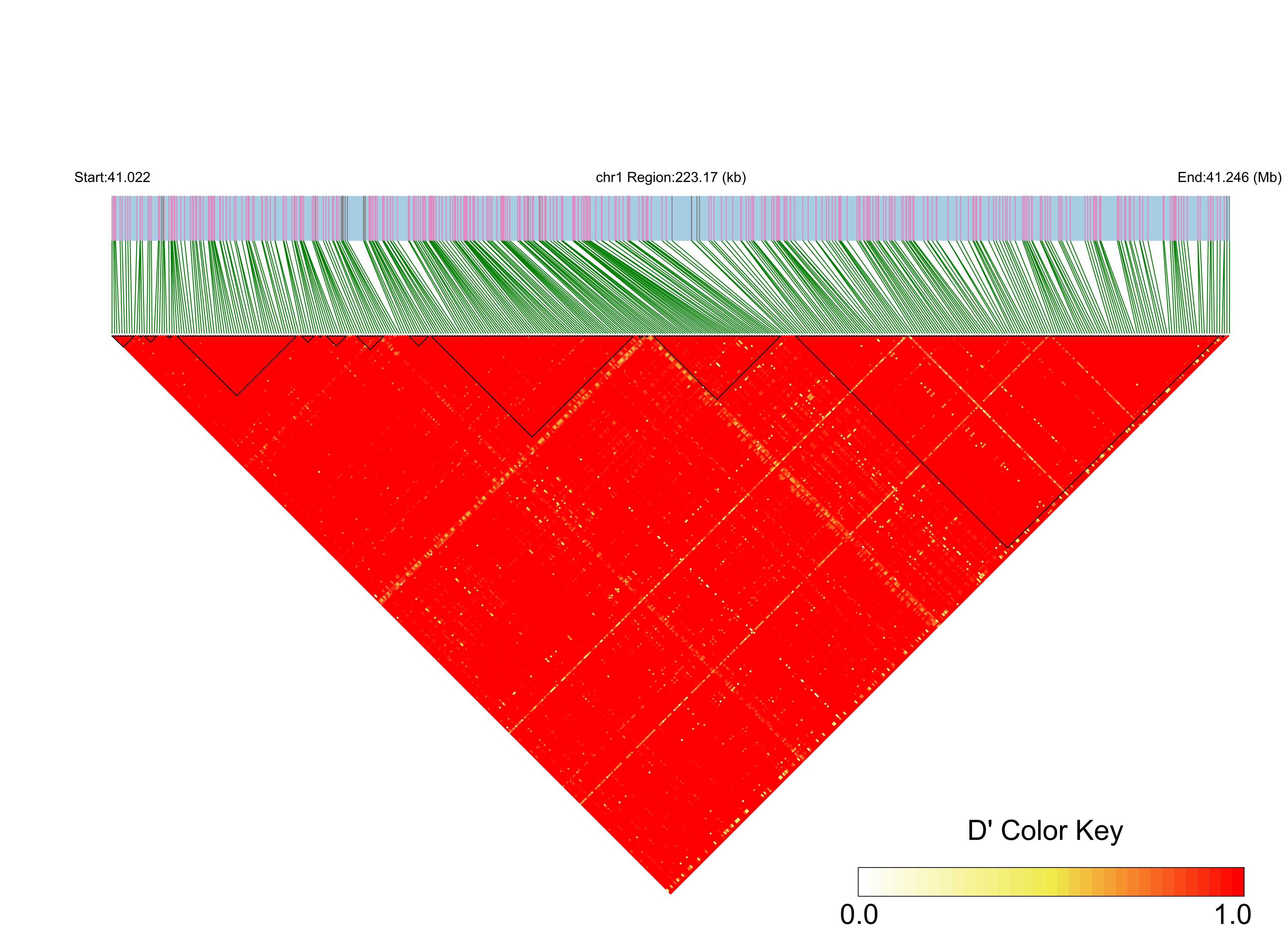 LD
