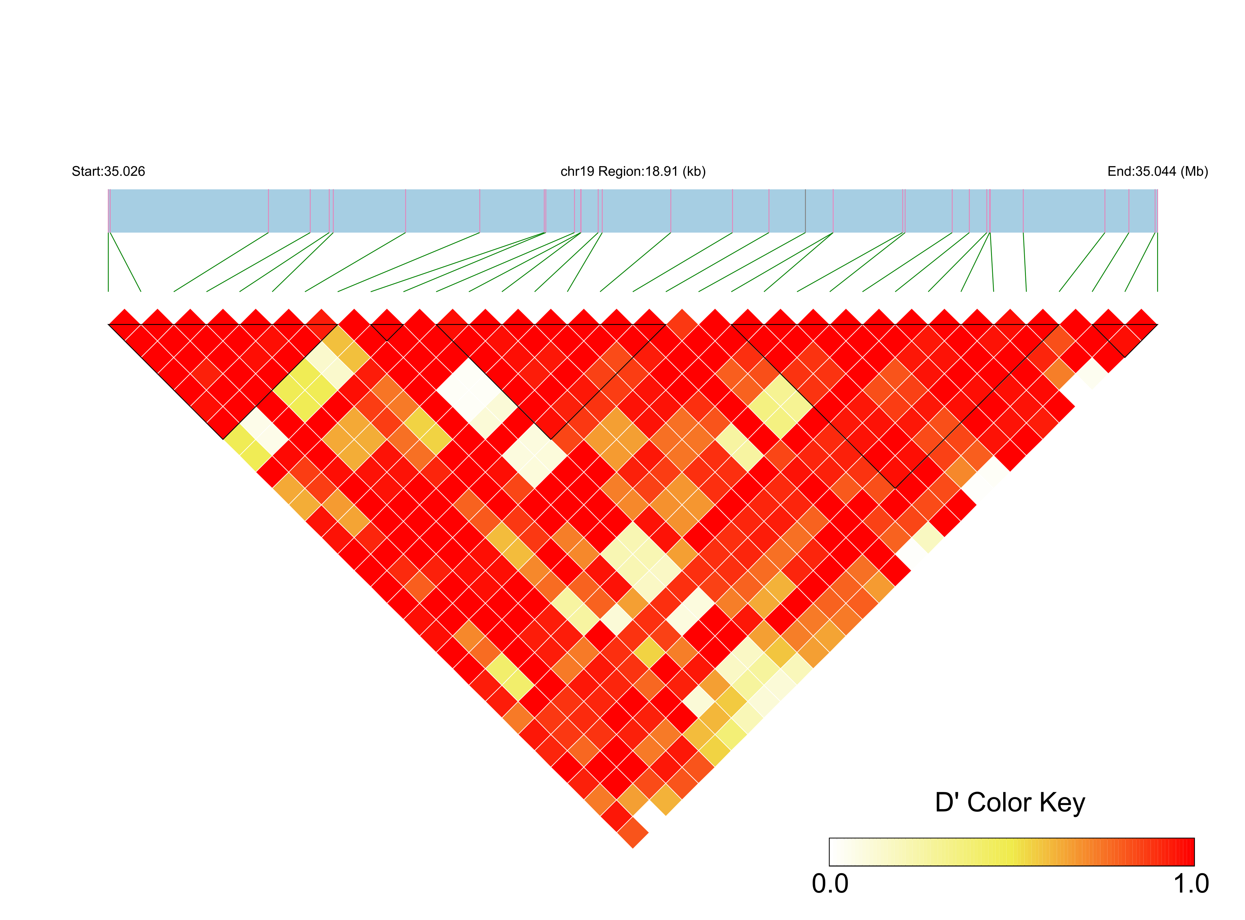 LD