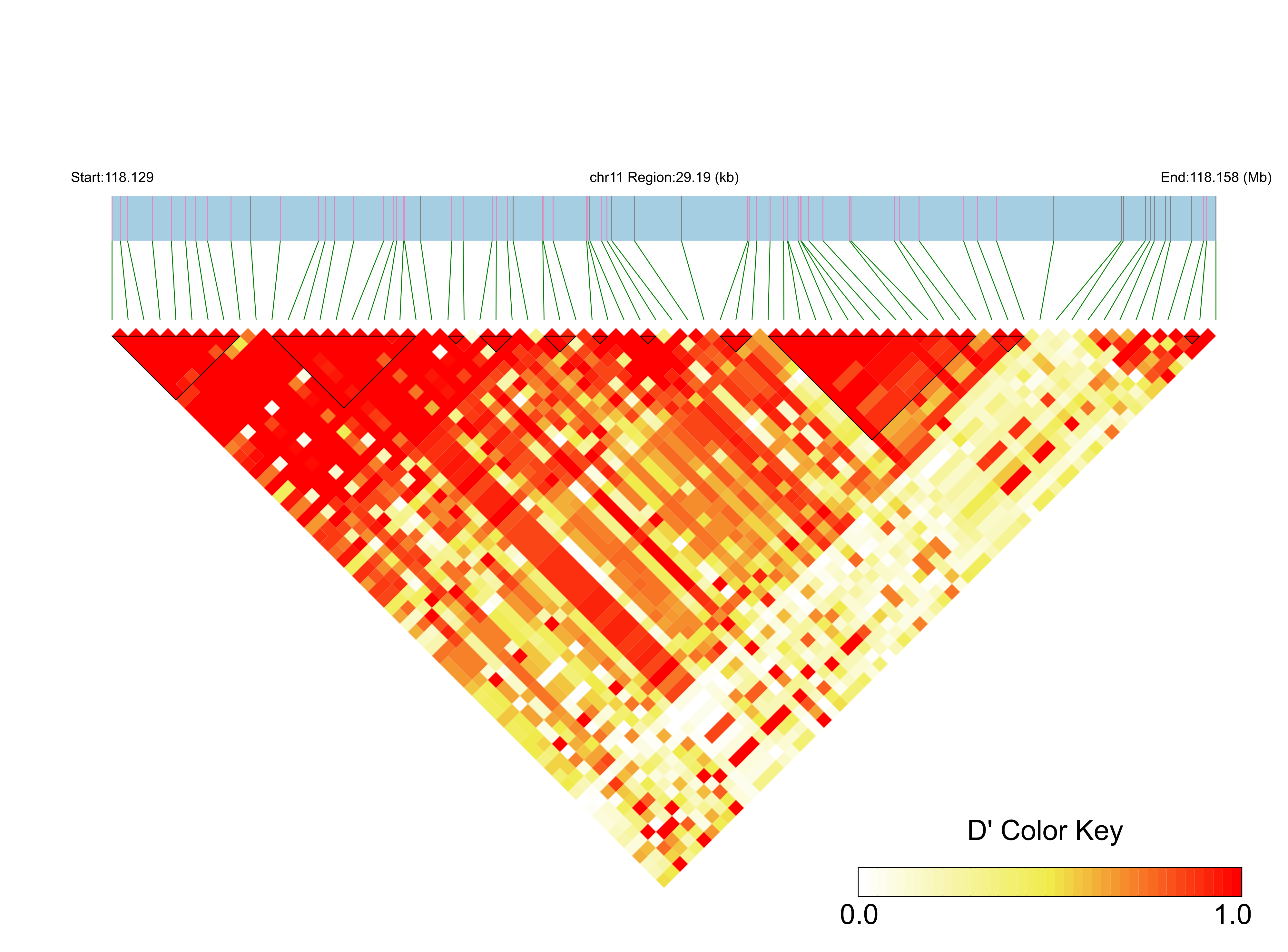 LD