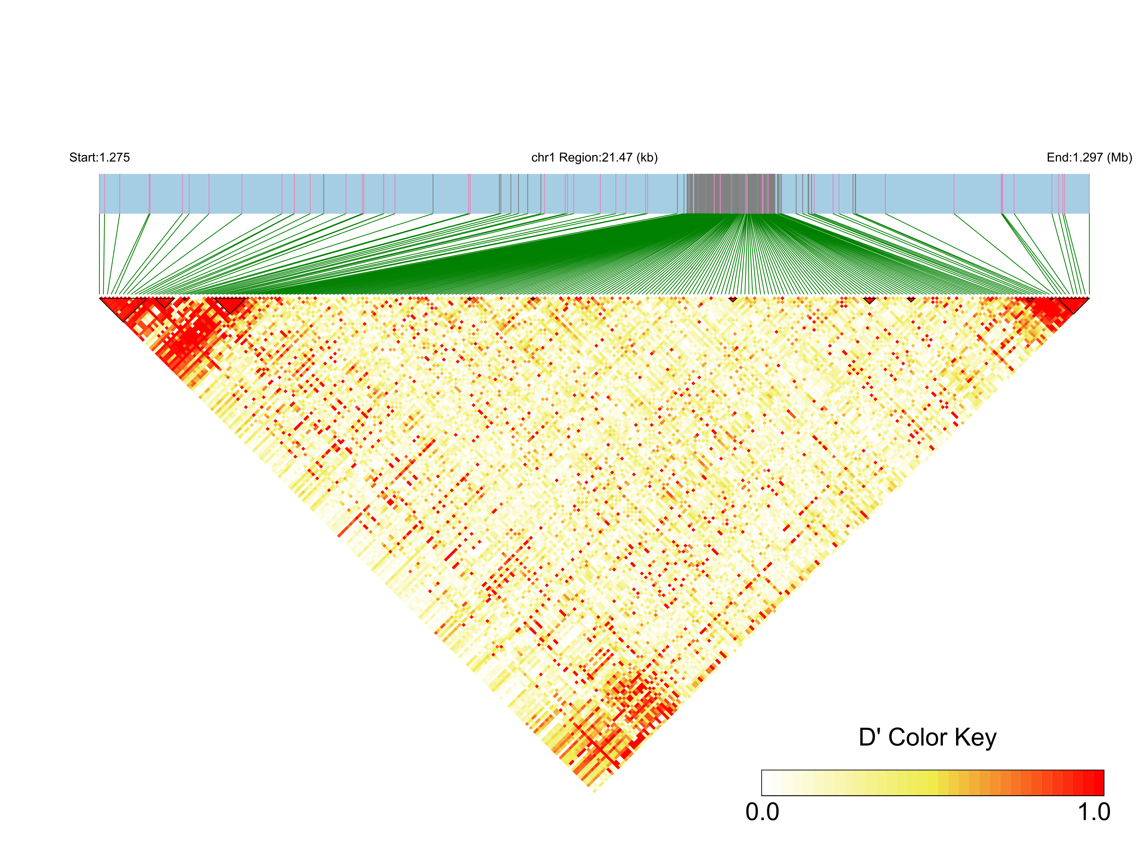 LD