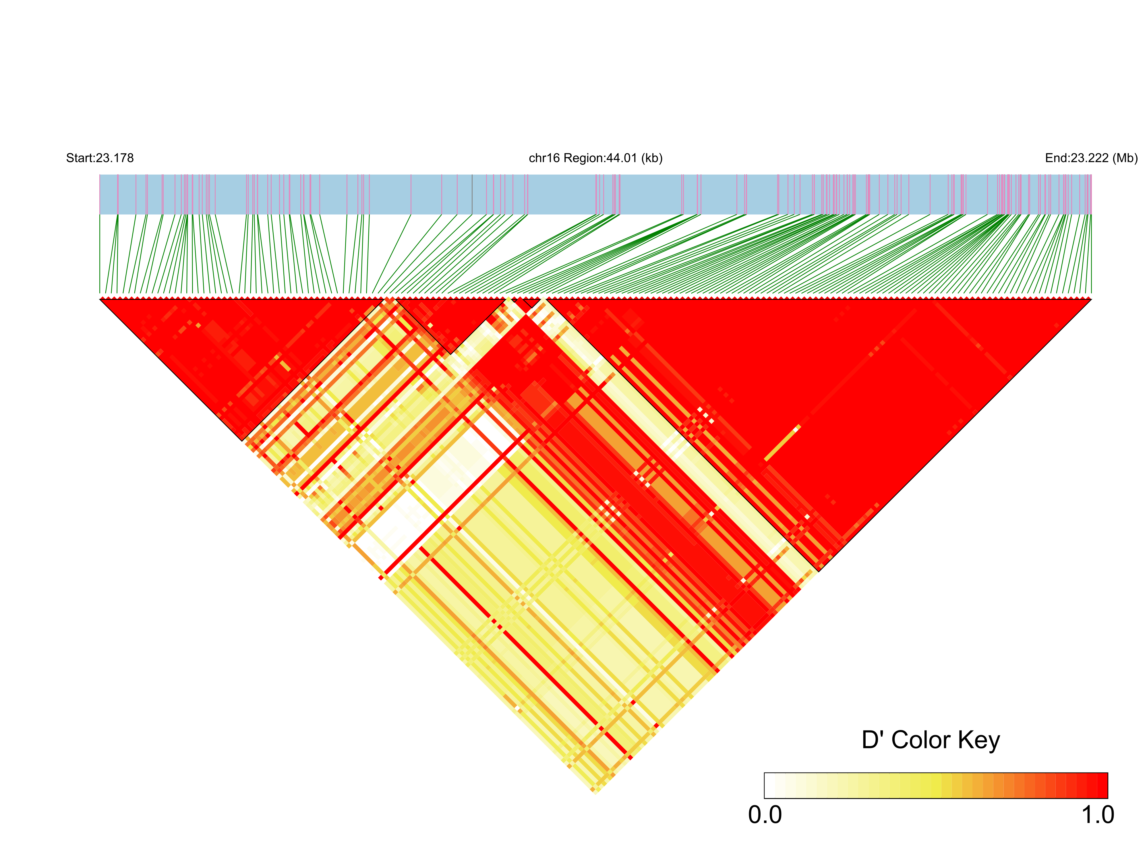 LD