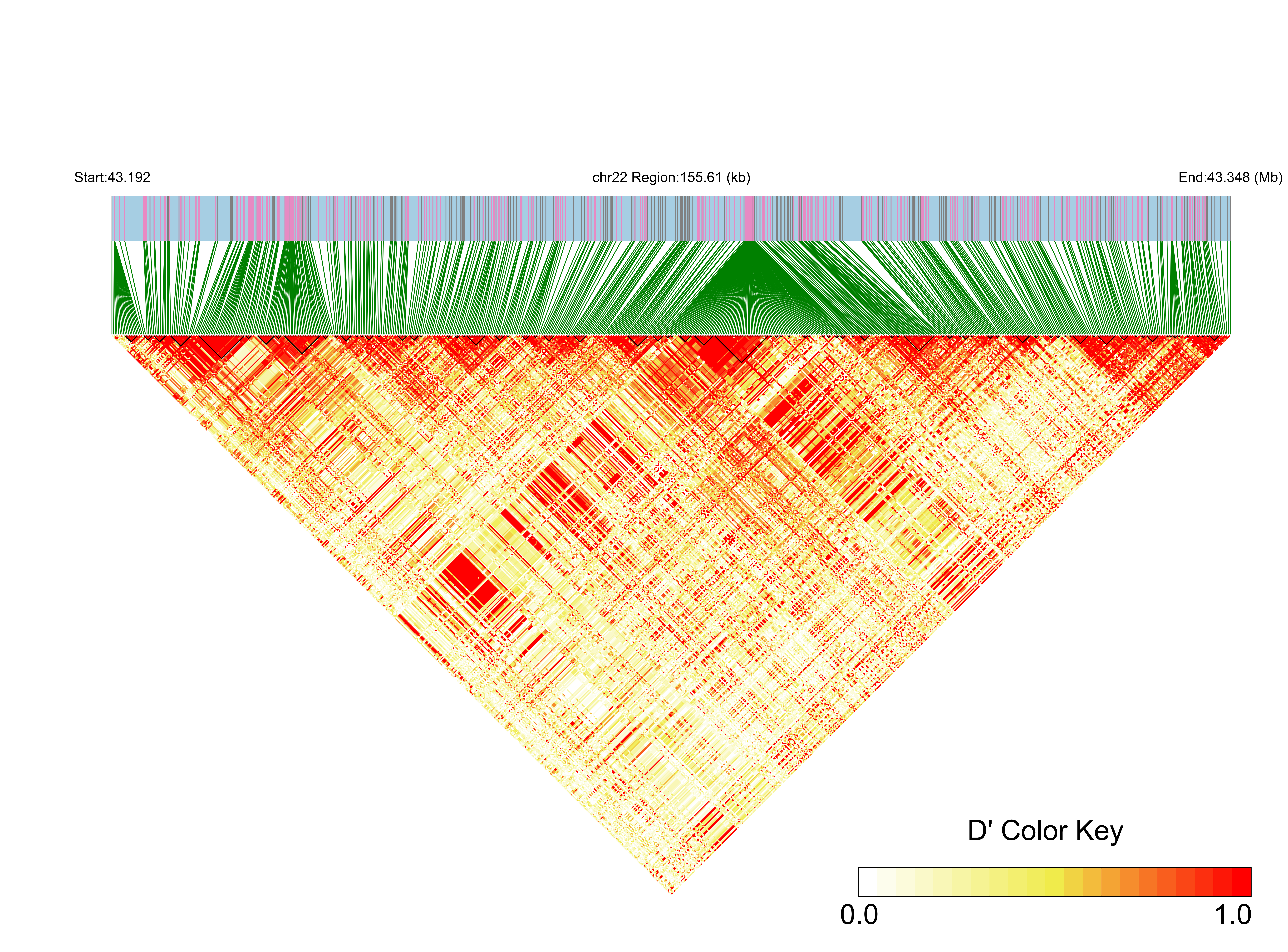 LD