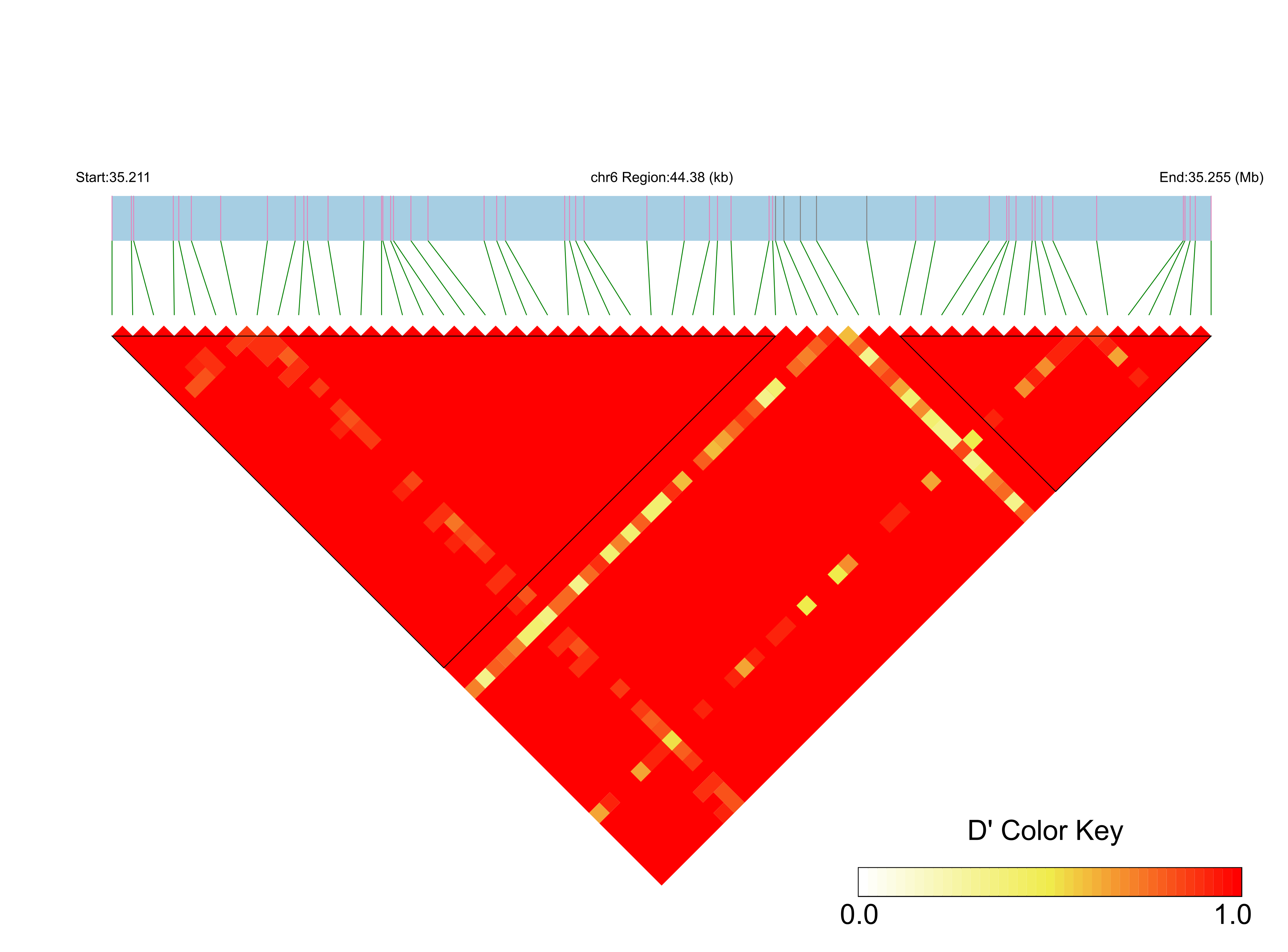LD