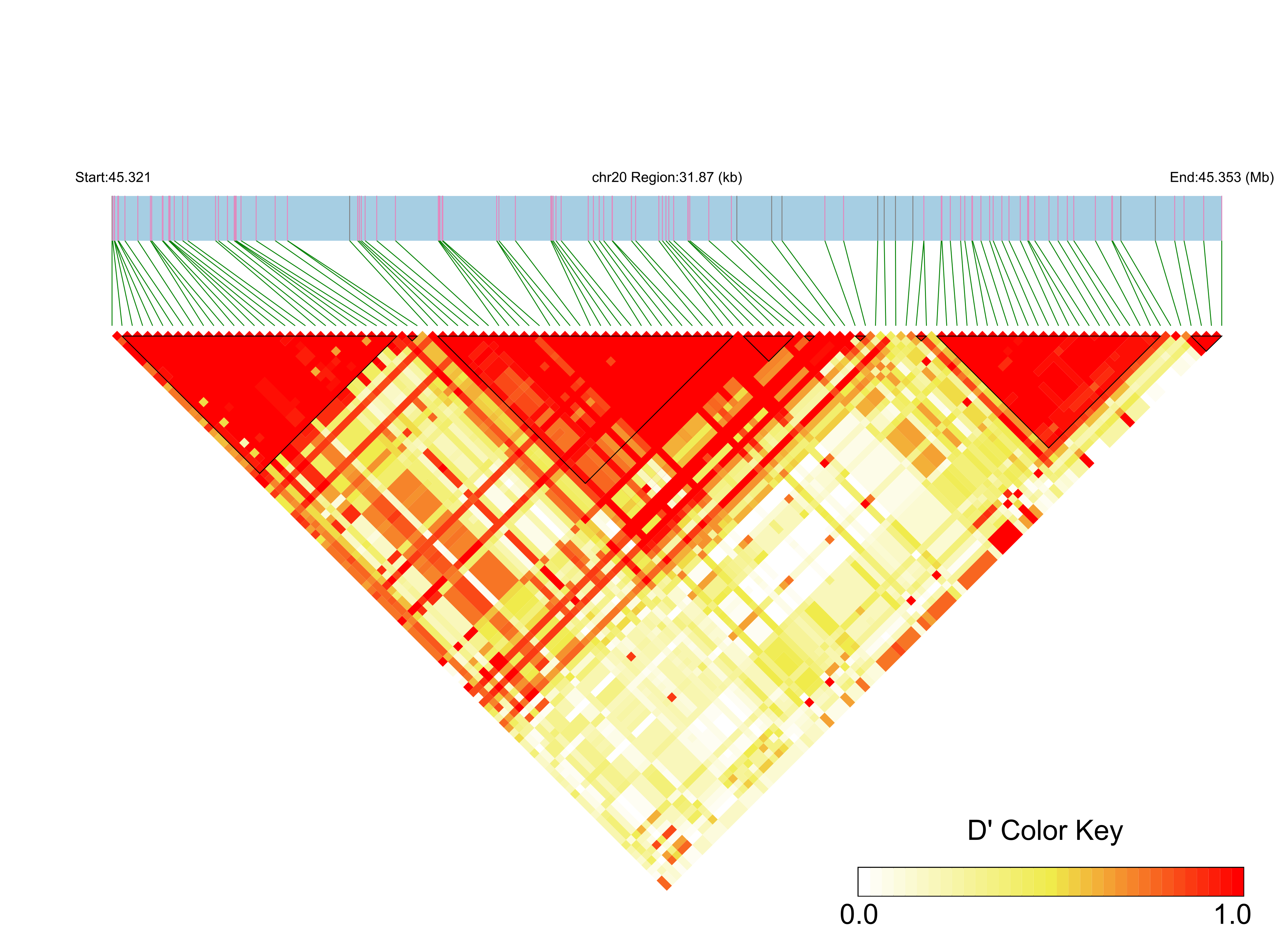 LD