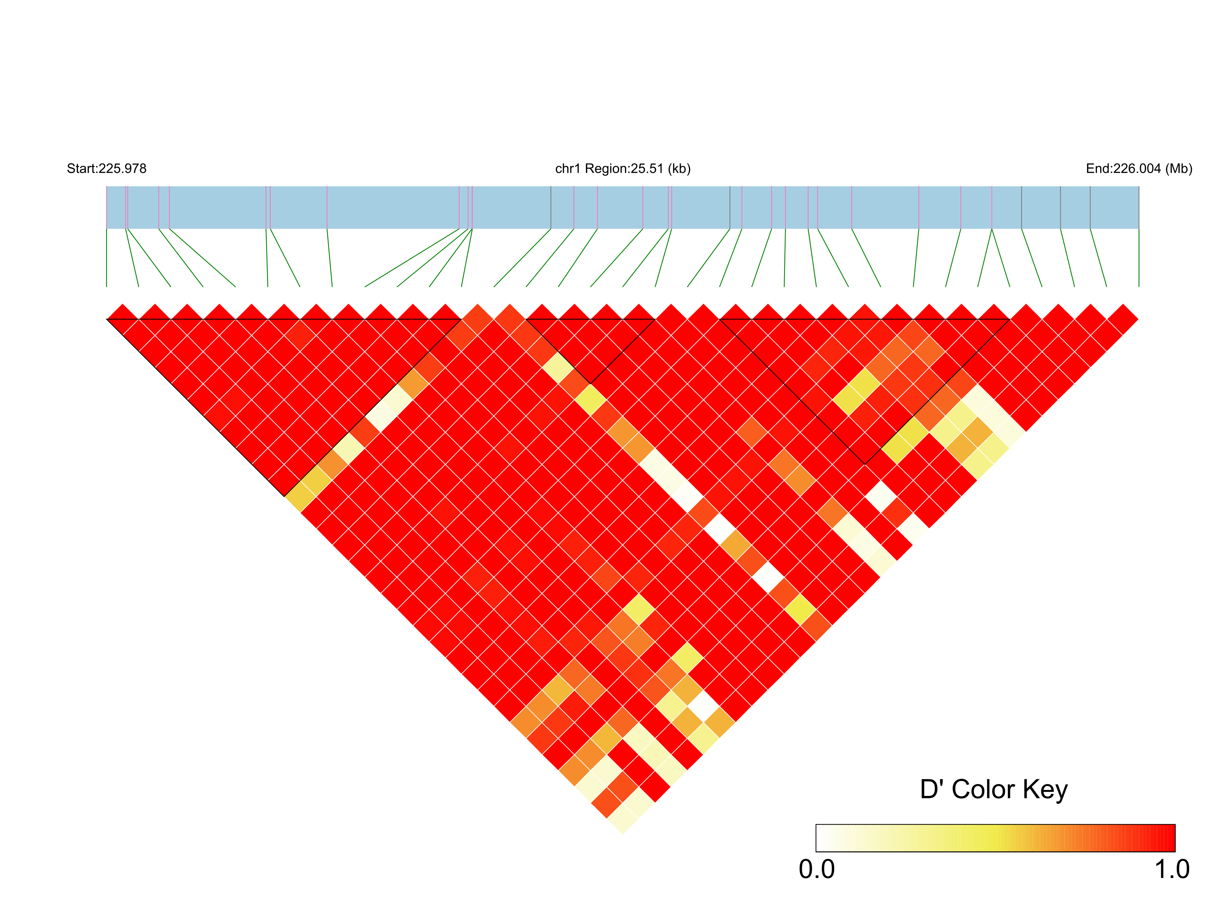LD