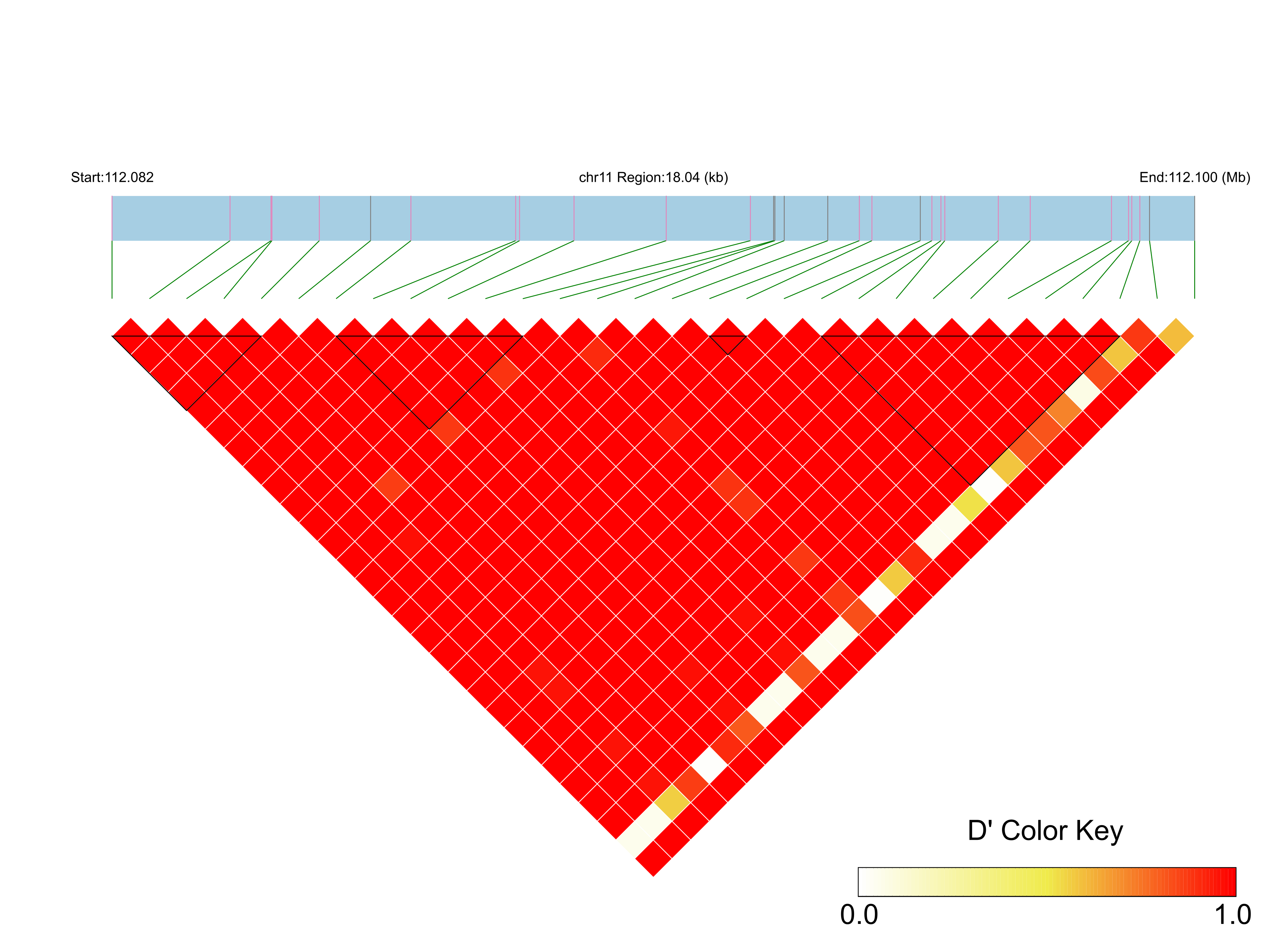 LD