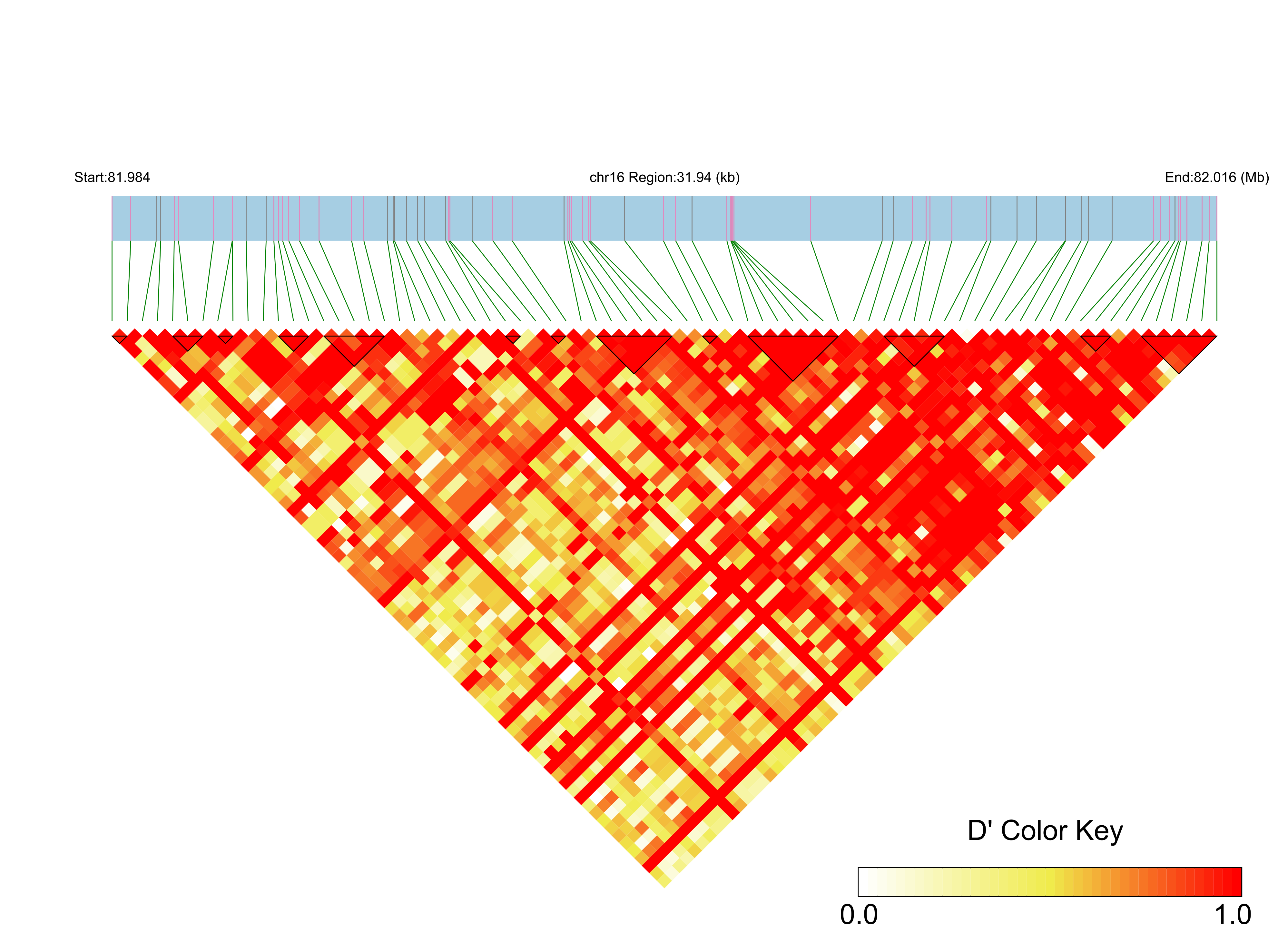 LD