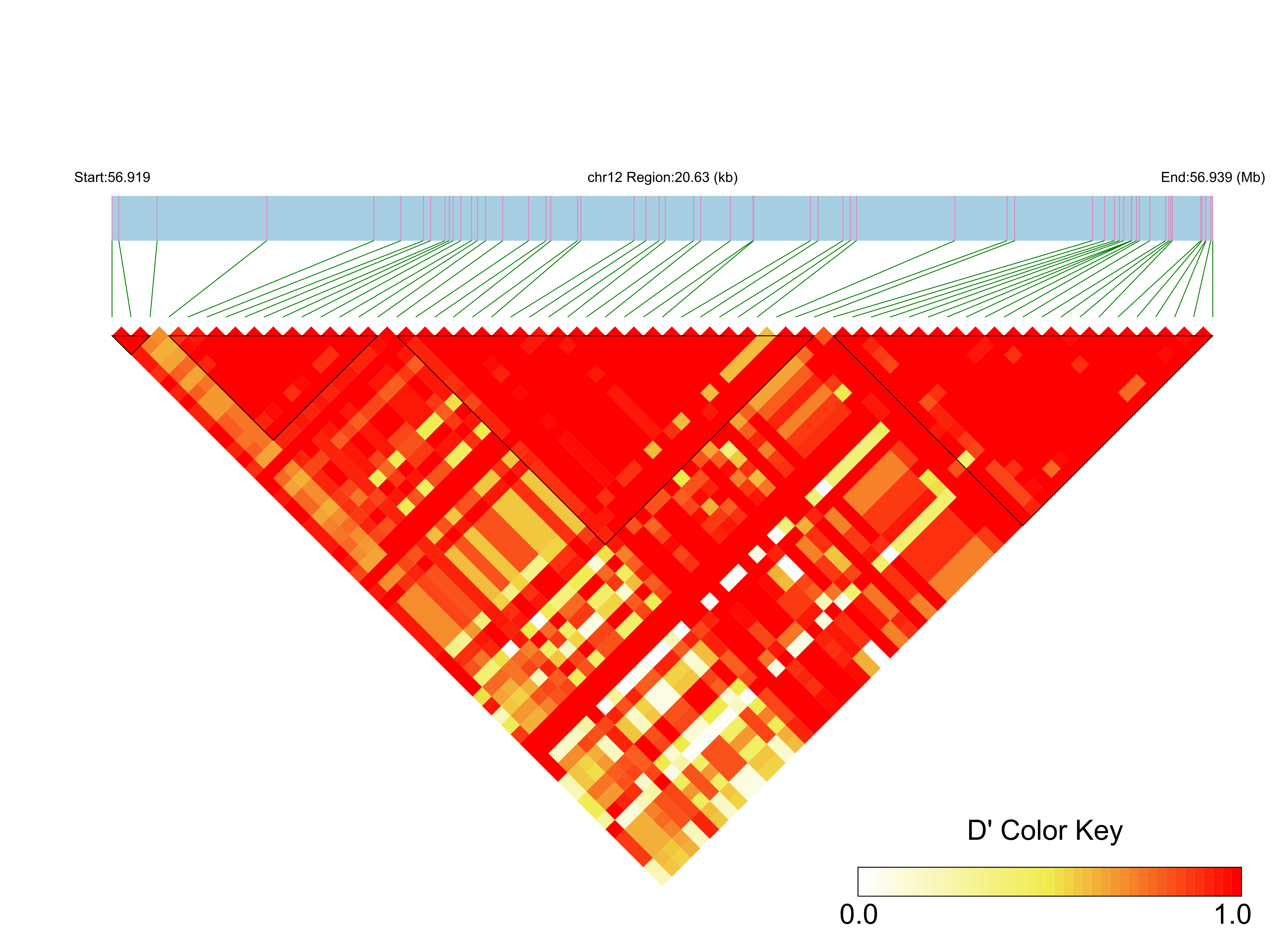 LD
