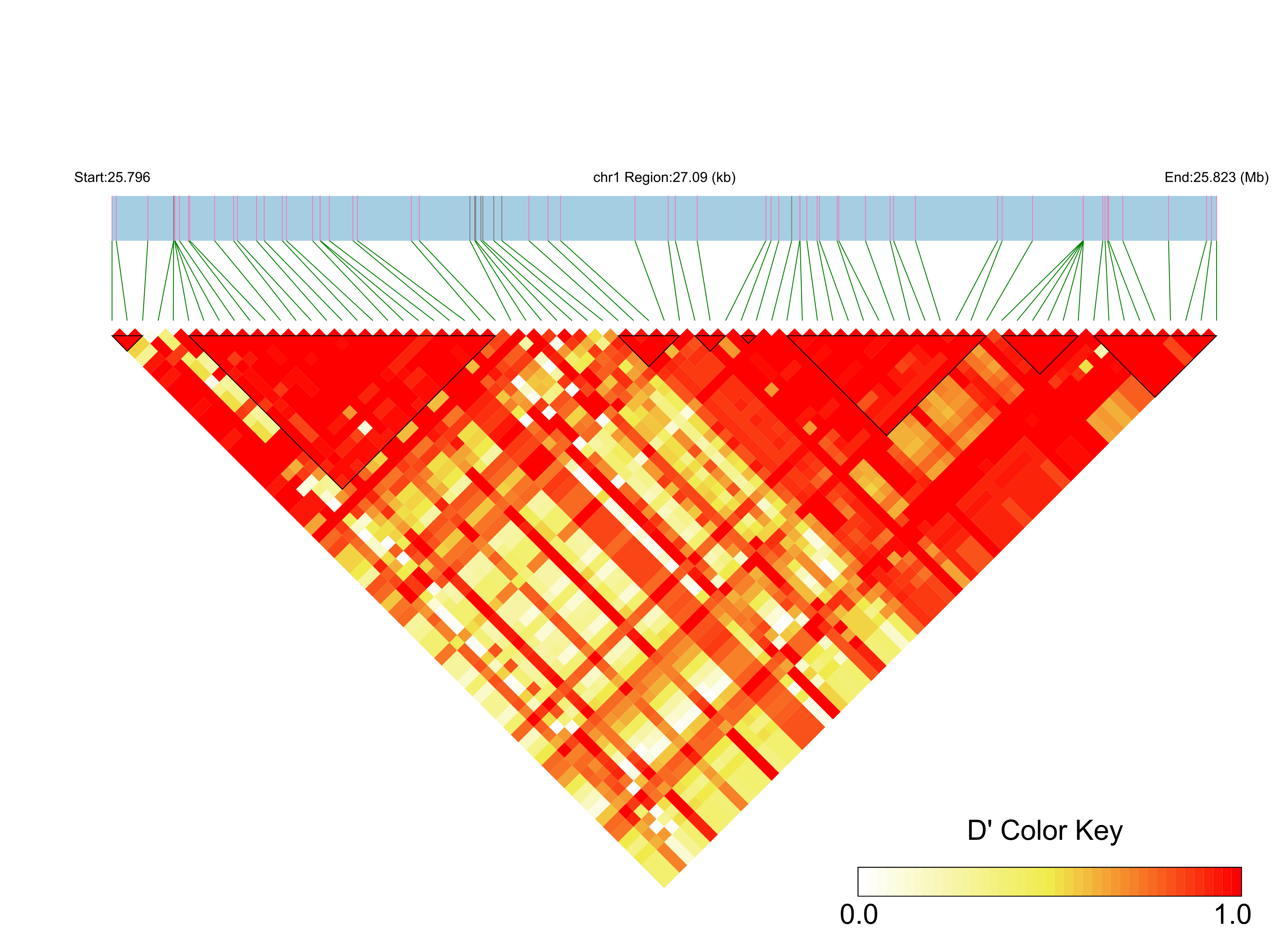 LD