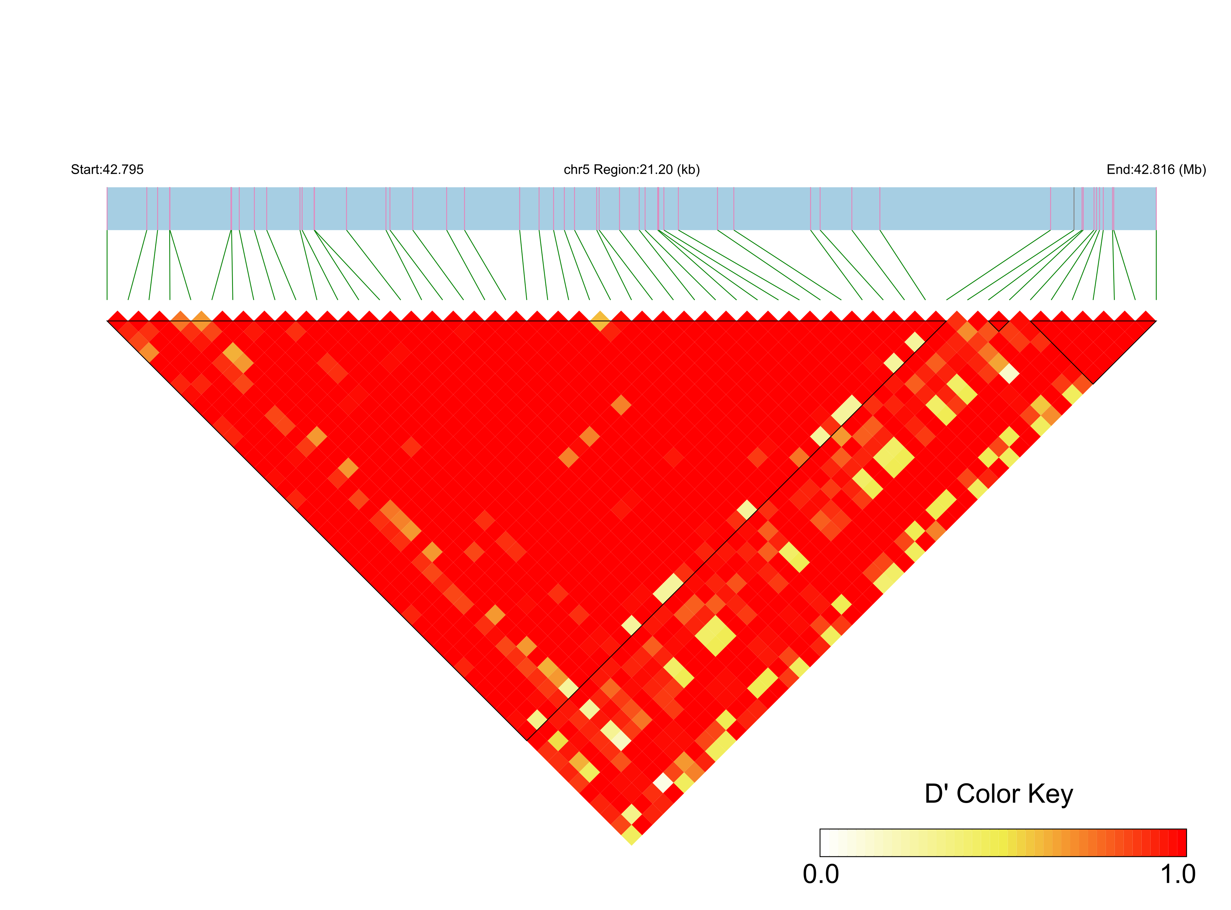 LD