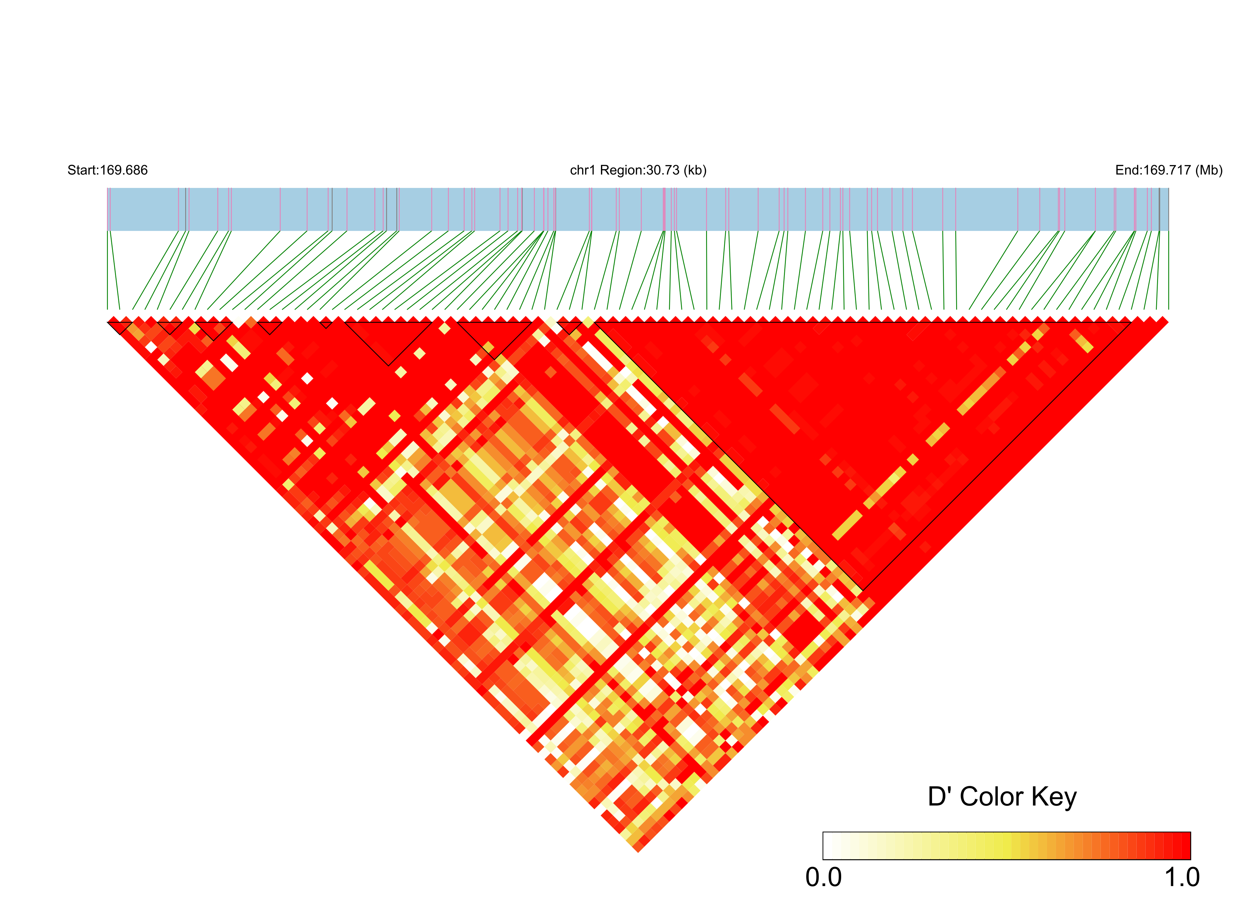 LD