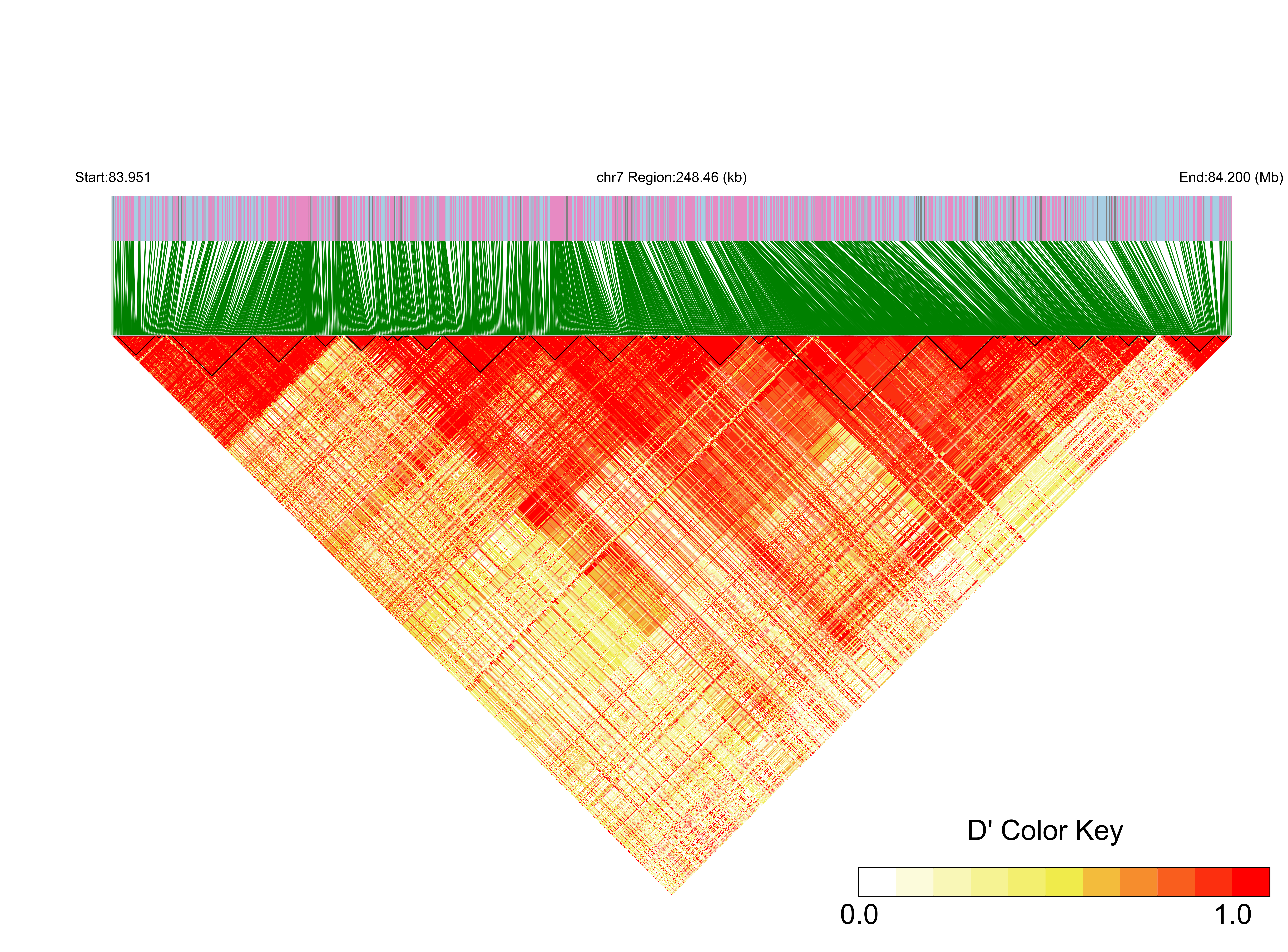 LD