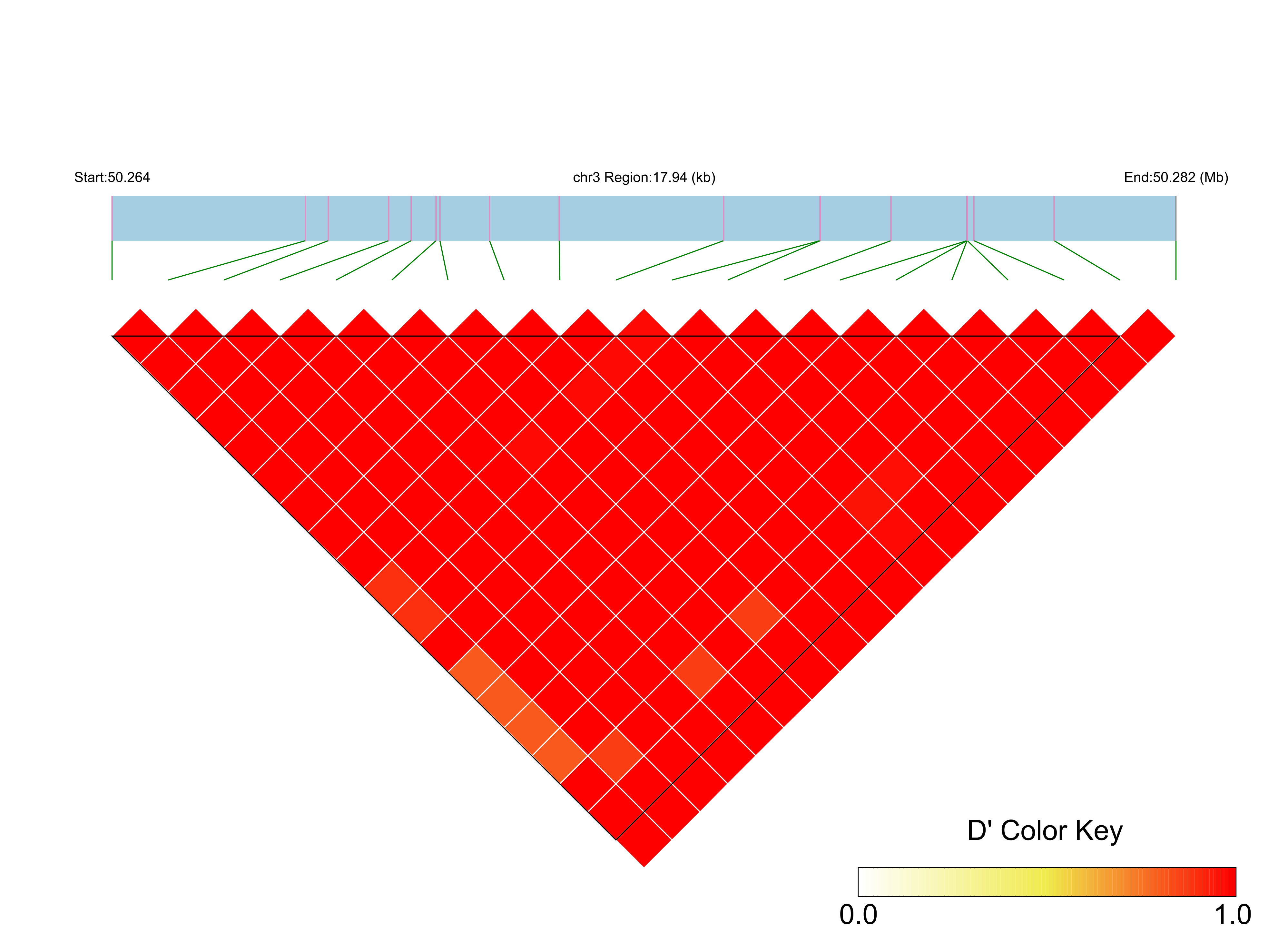 LD