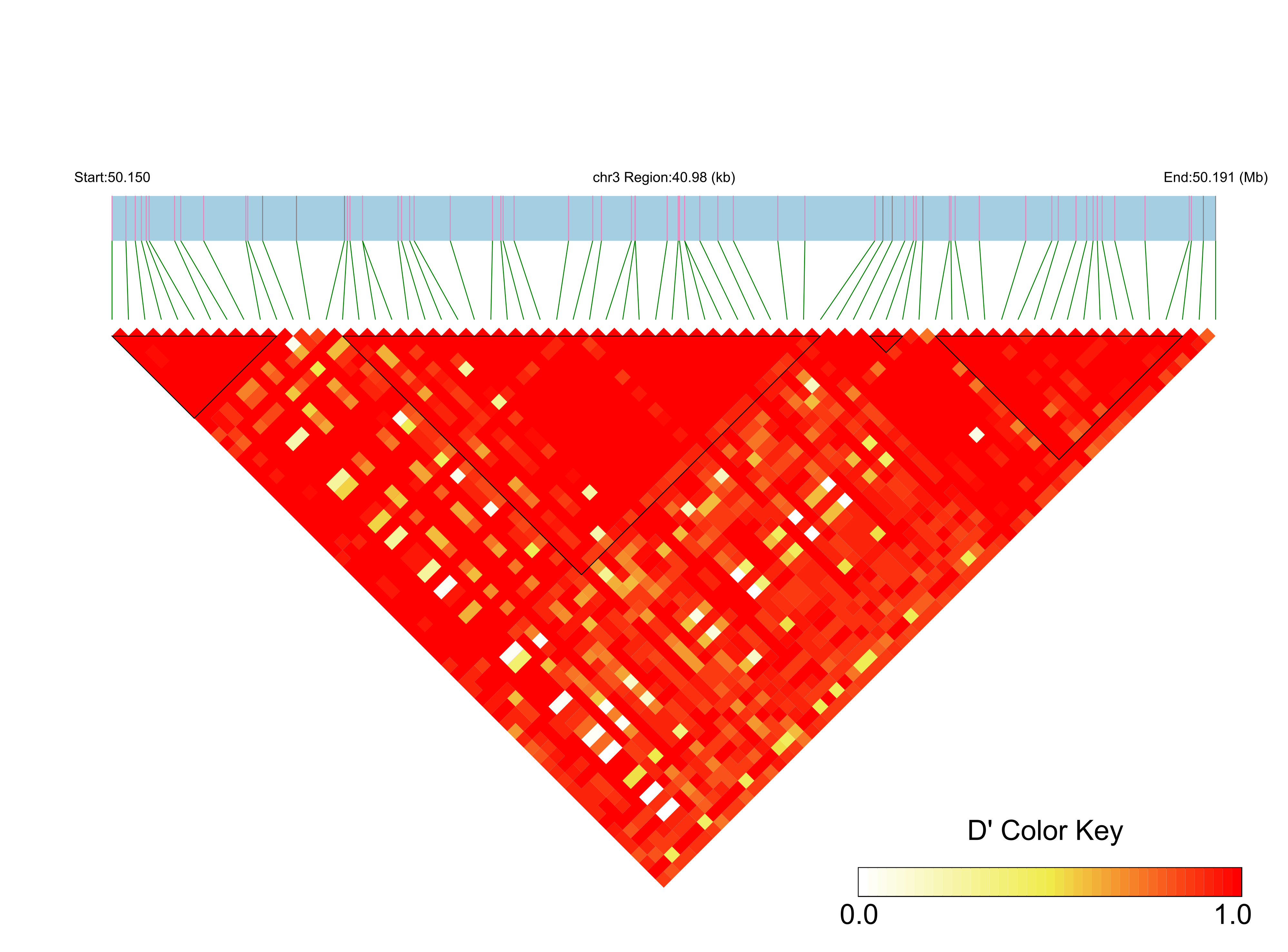 LD