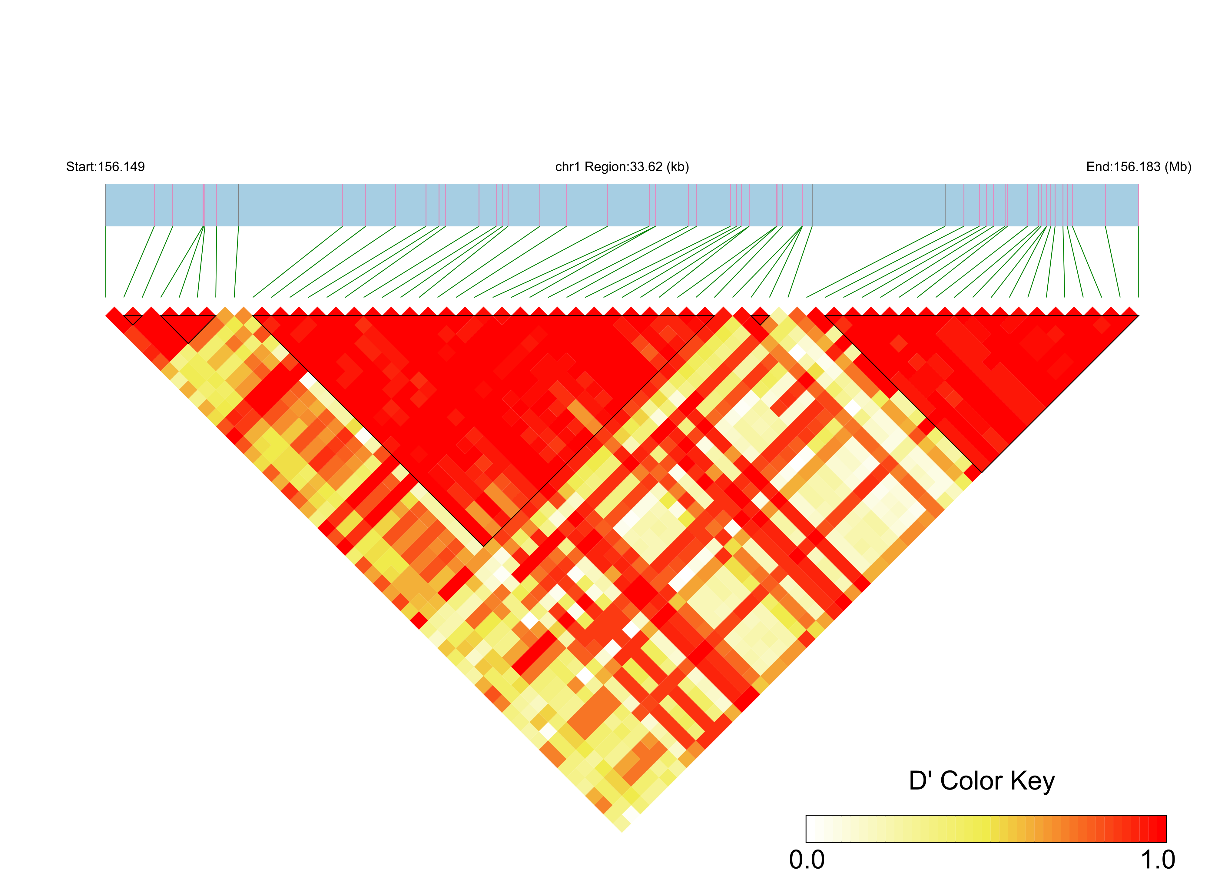 LD