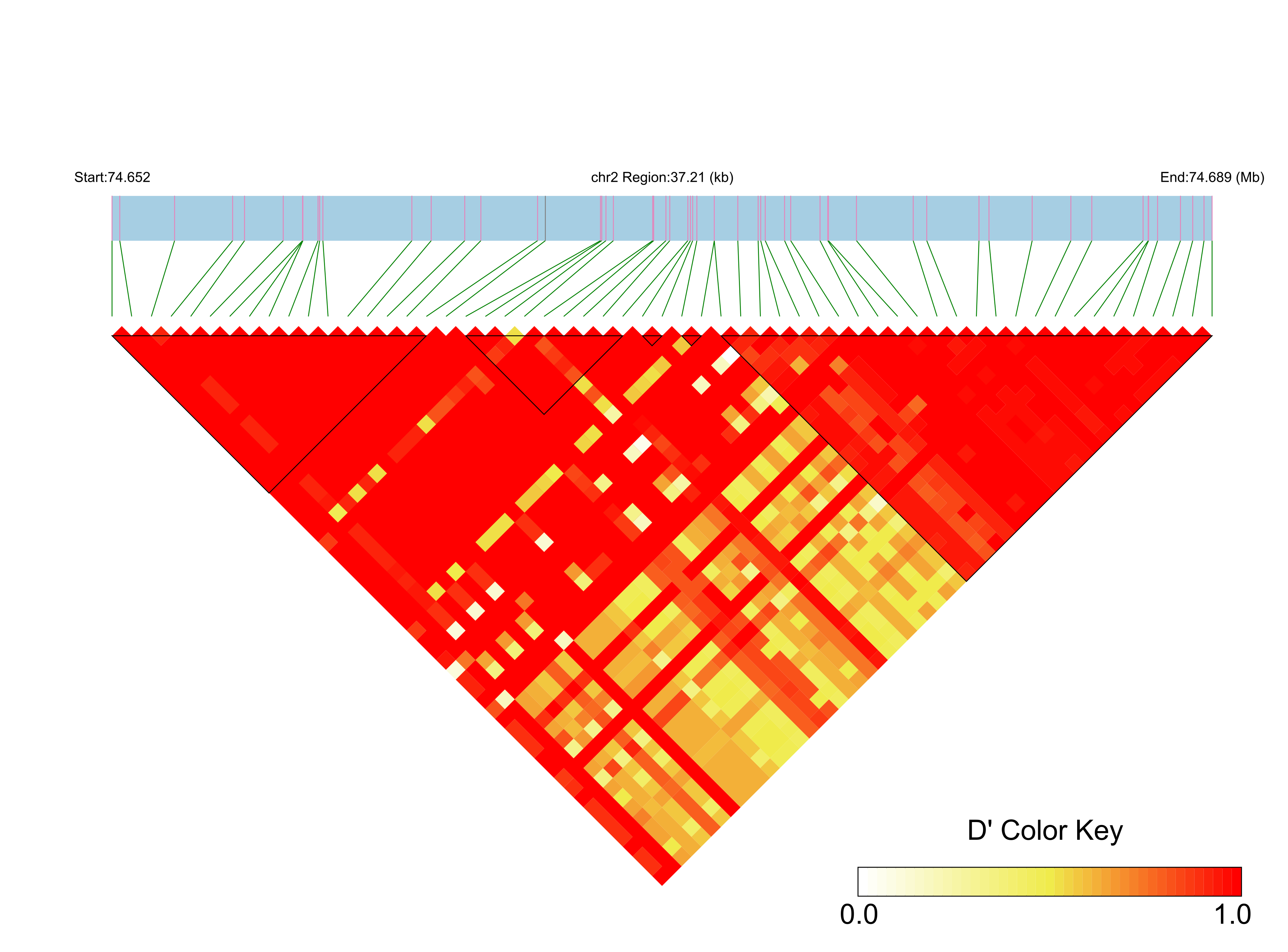 LD