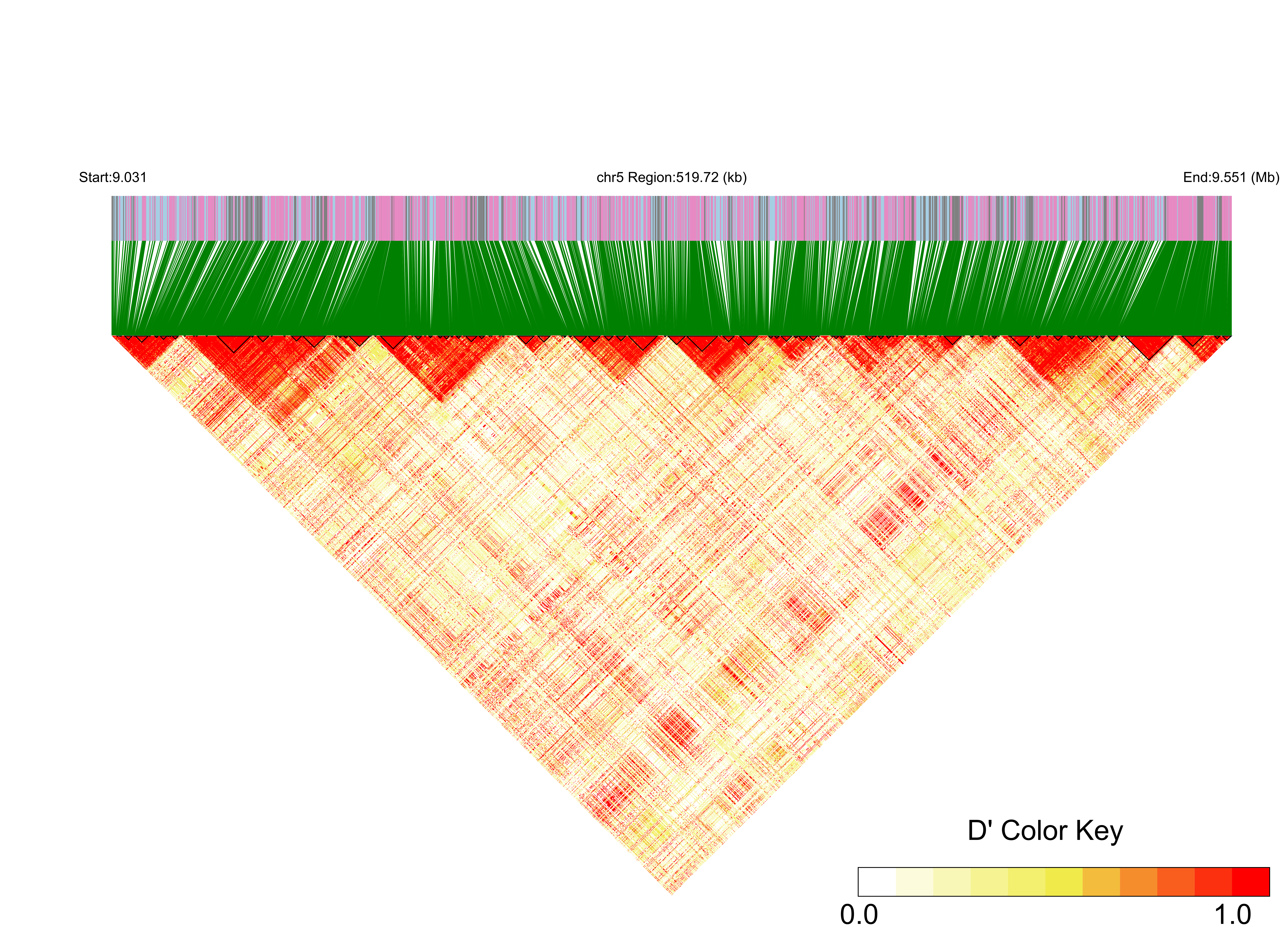 LD