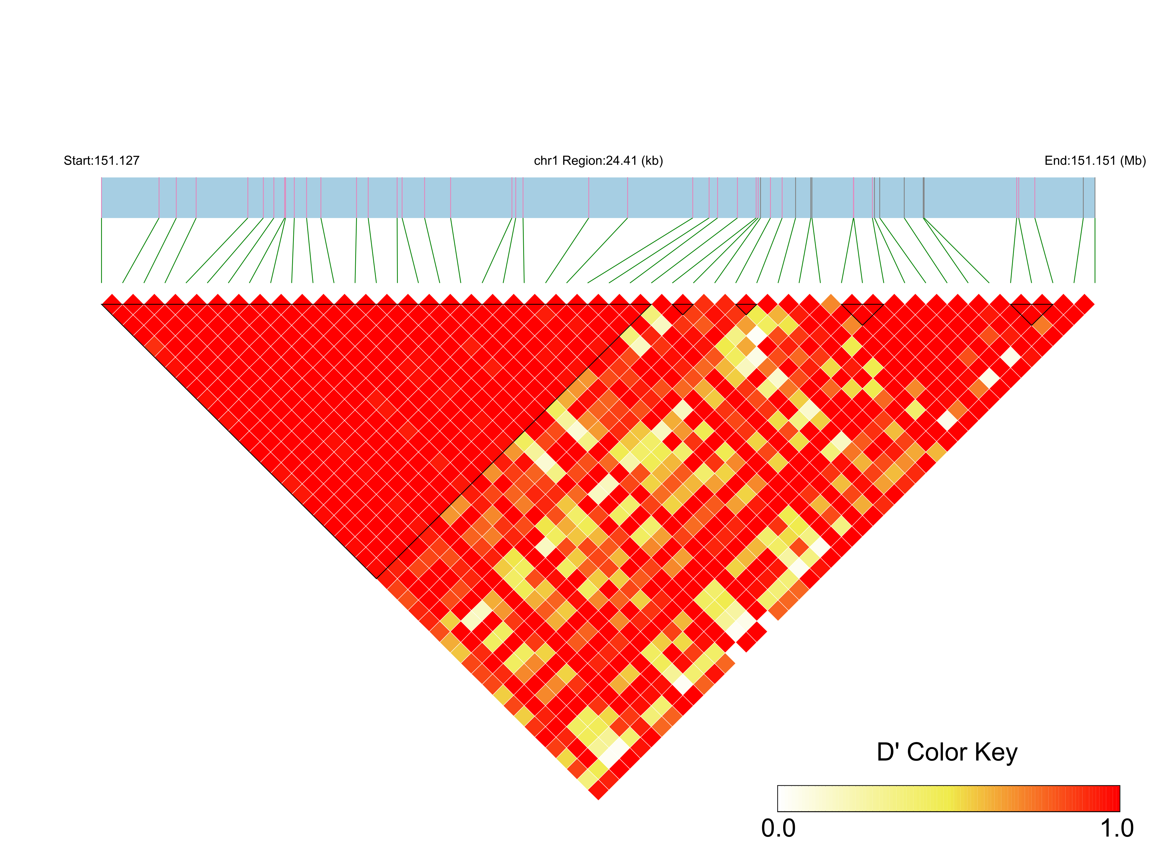 LD