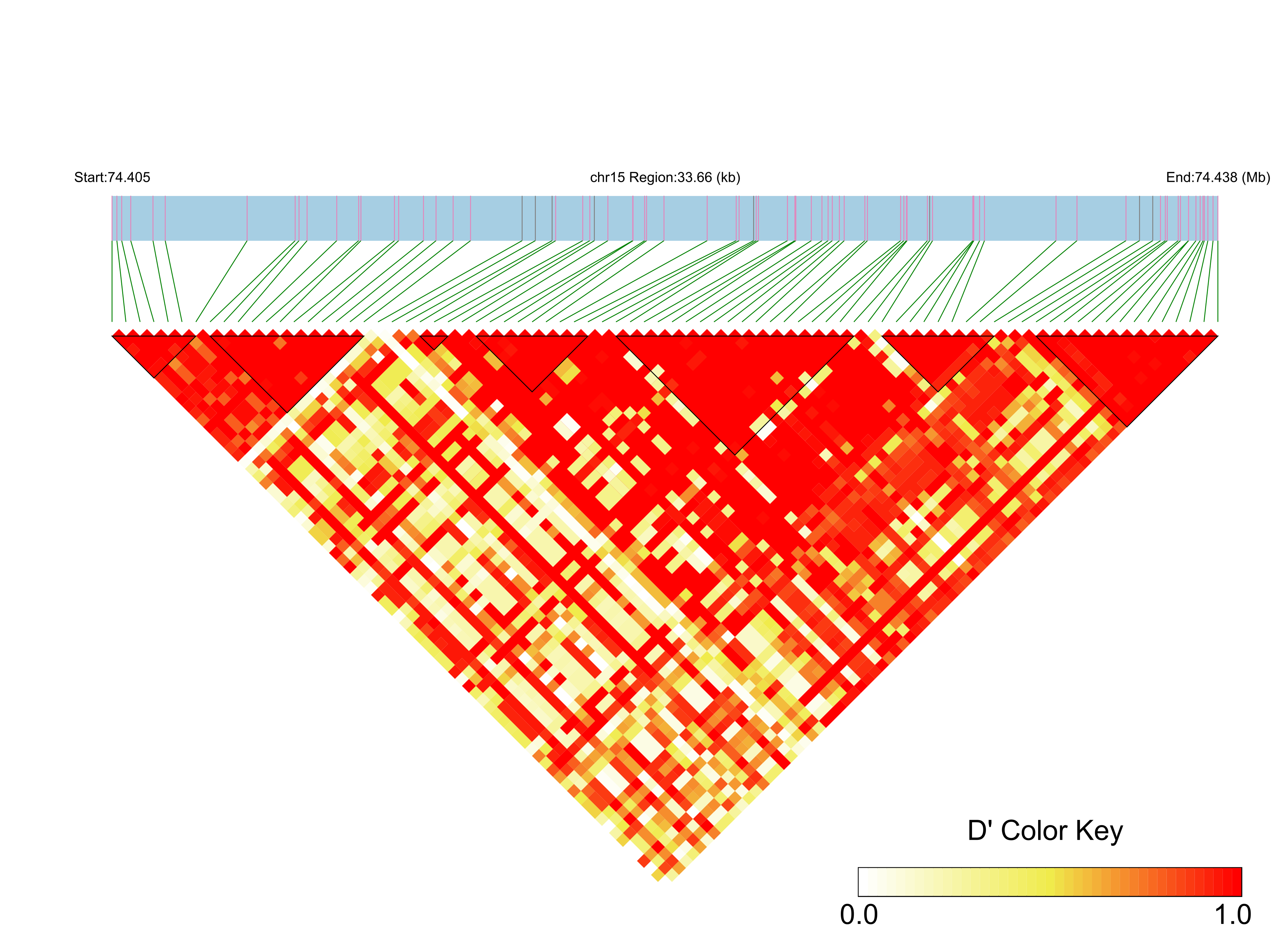 LD
