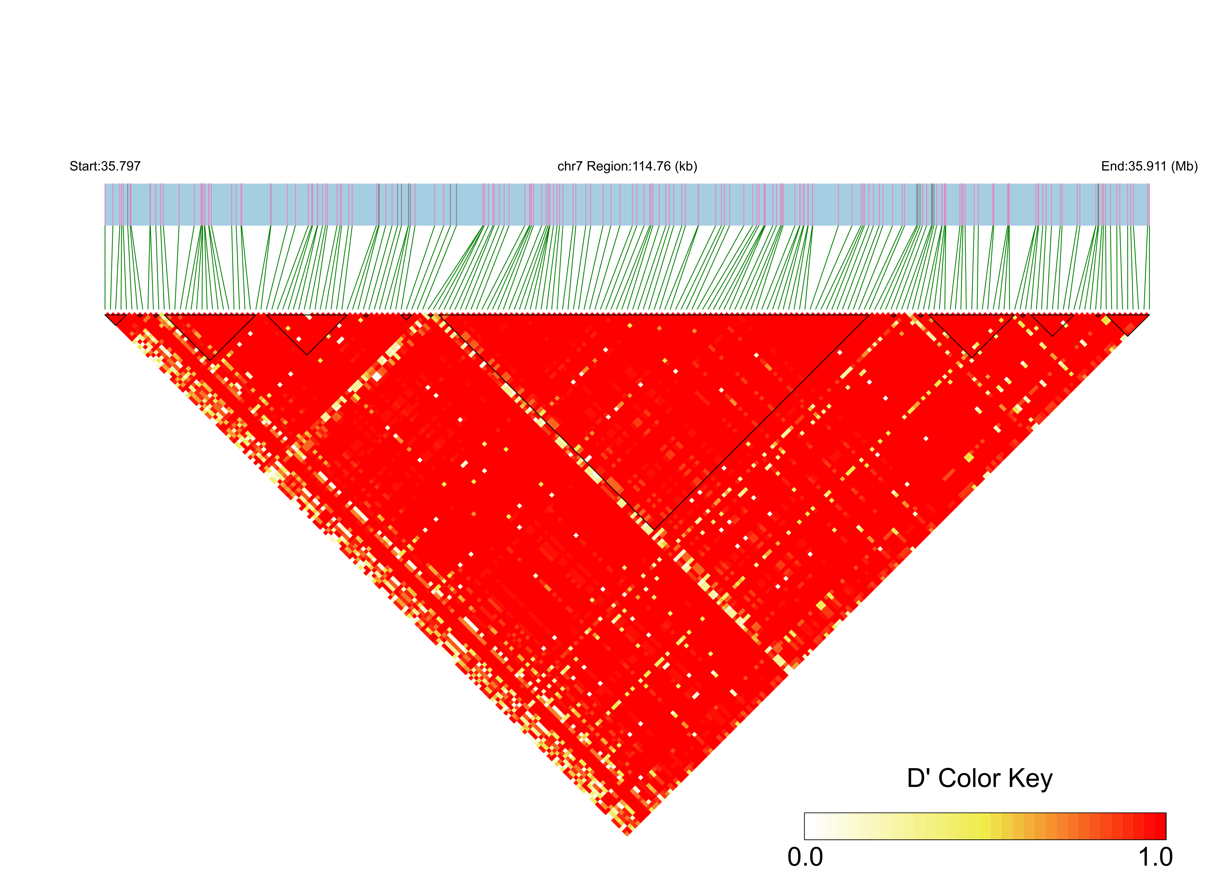 LD