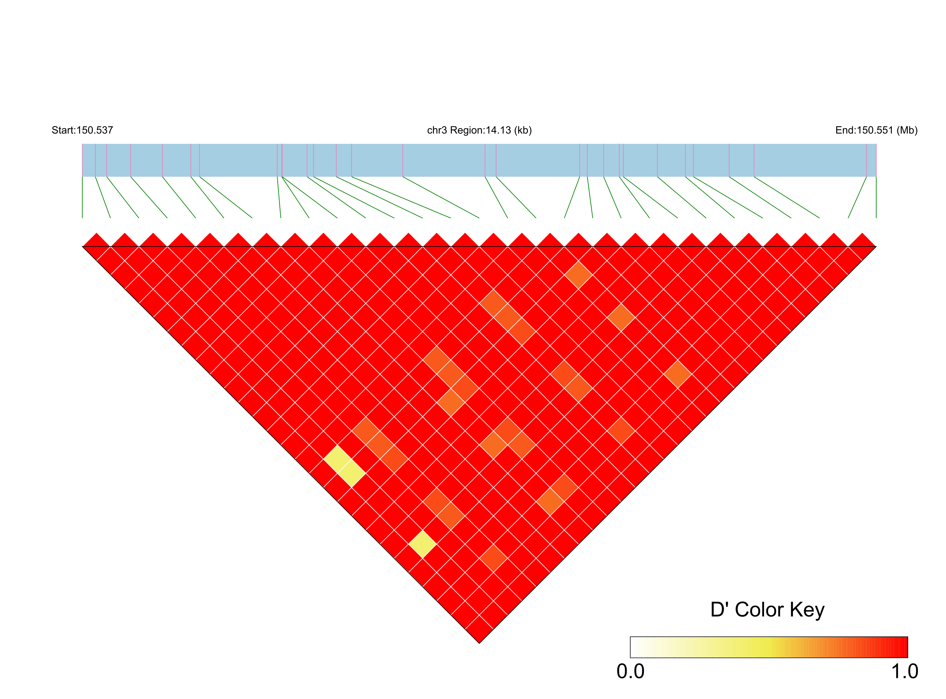 LD