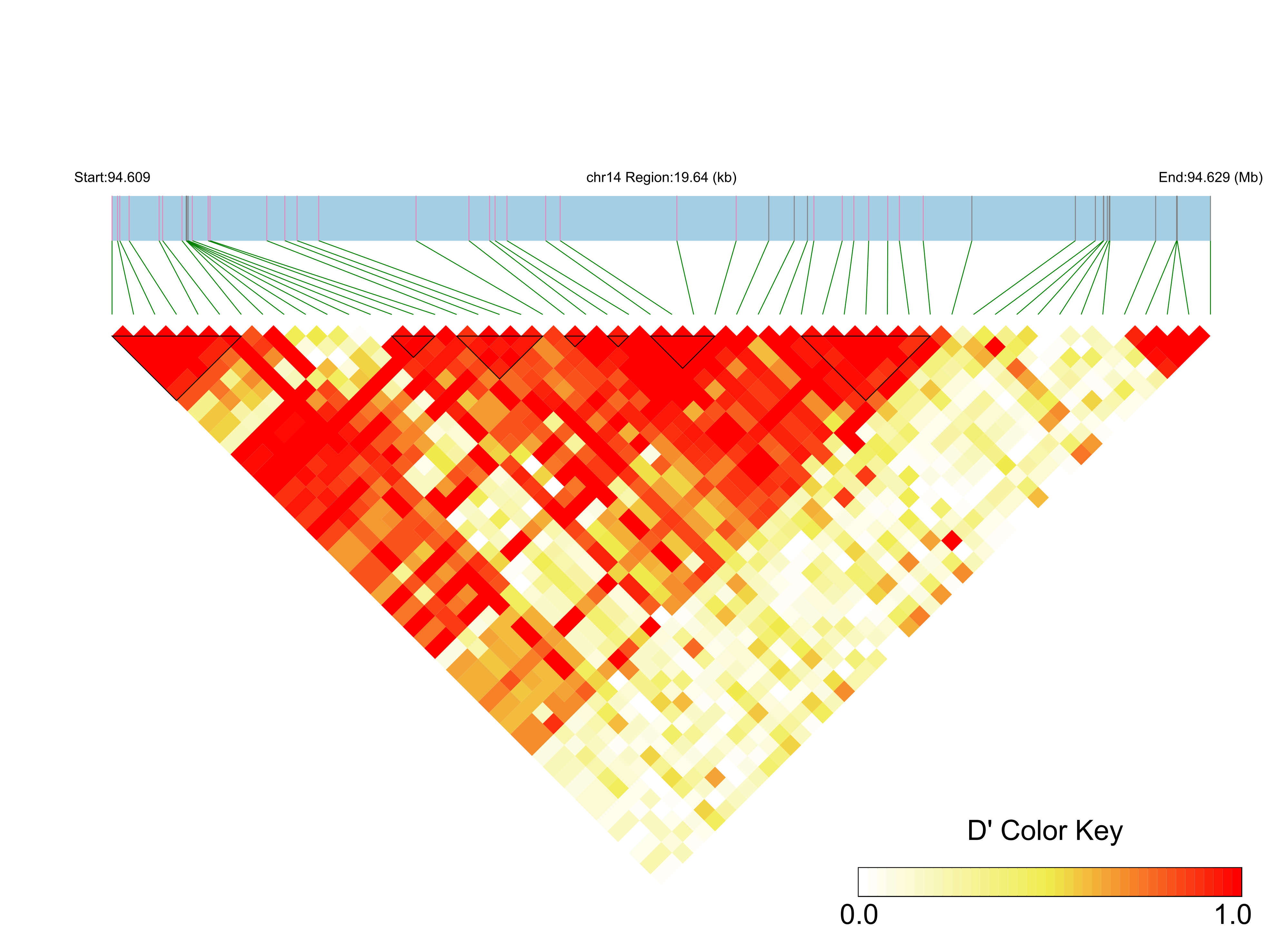 LD