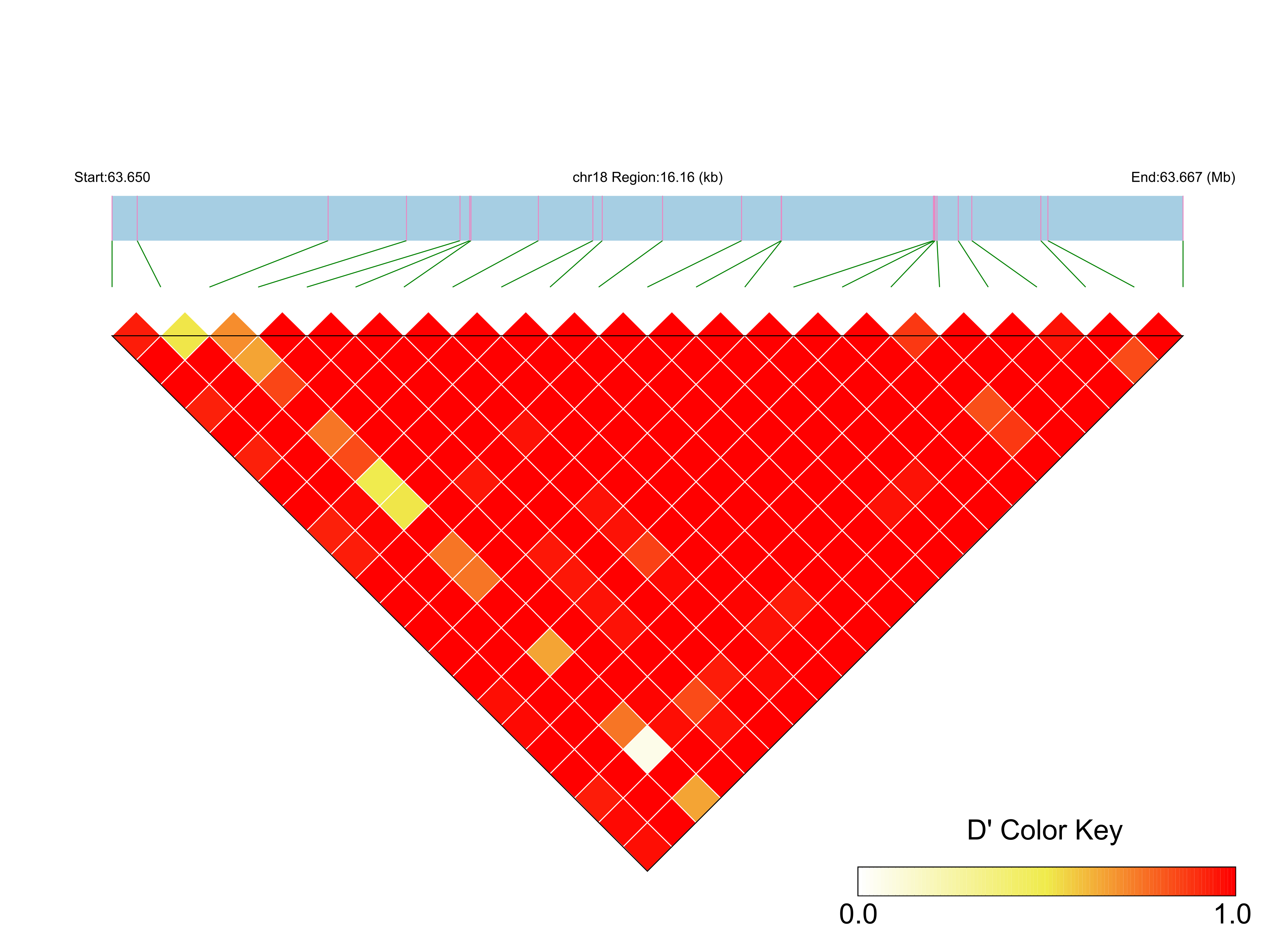 LD