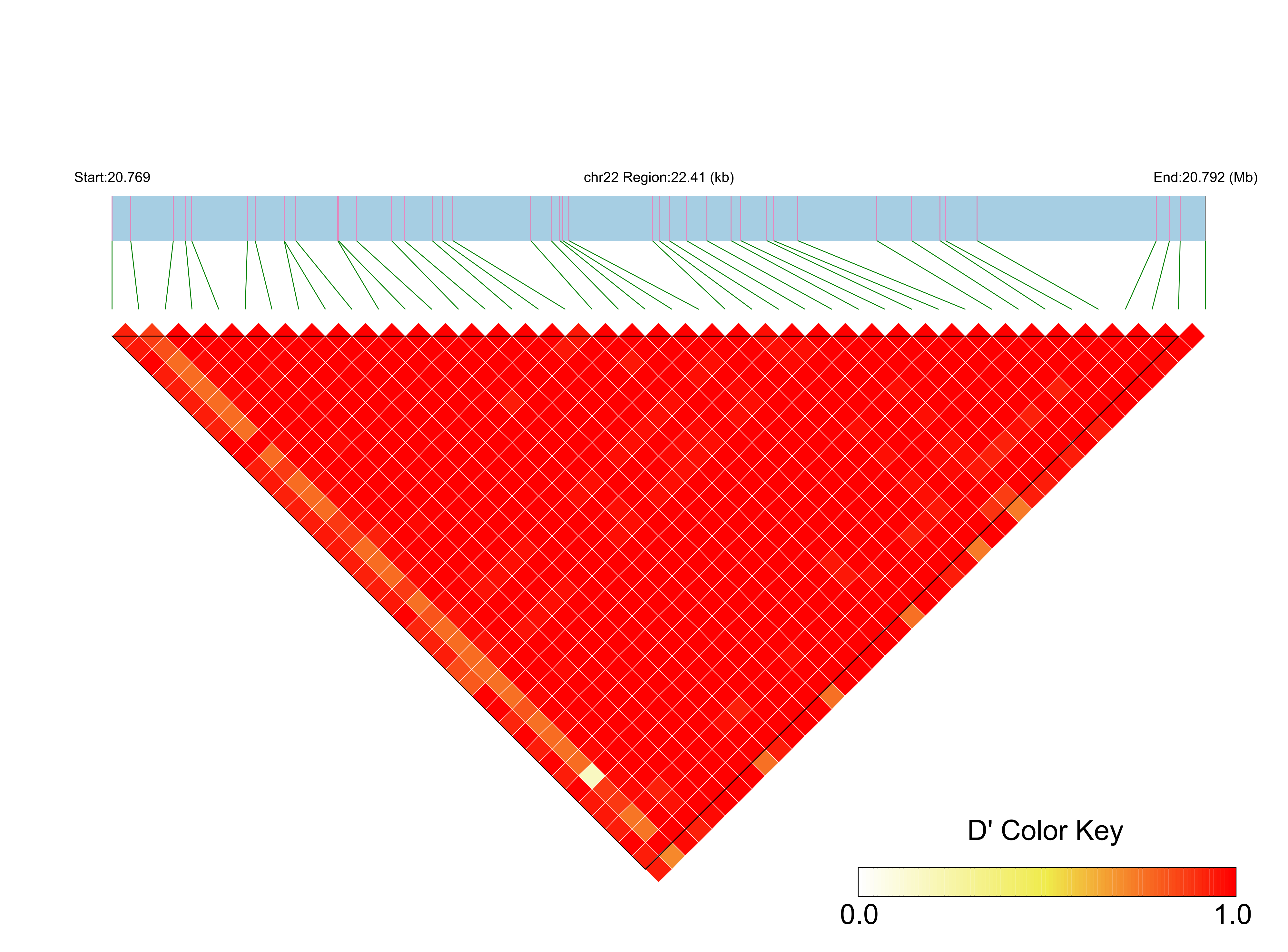 LD