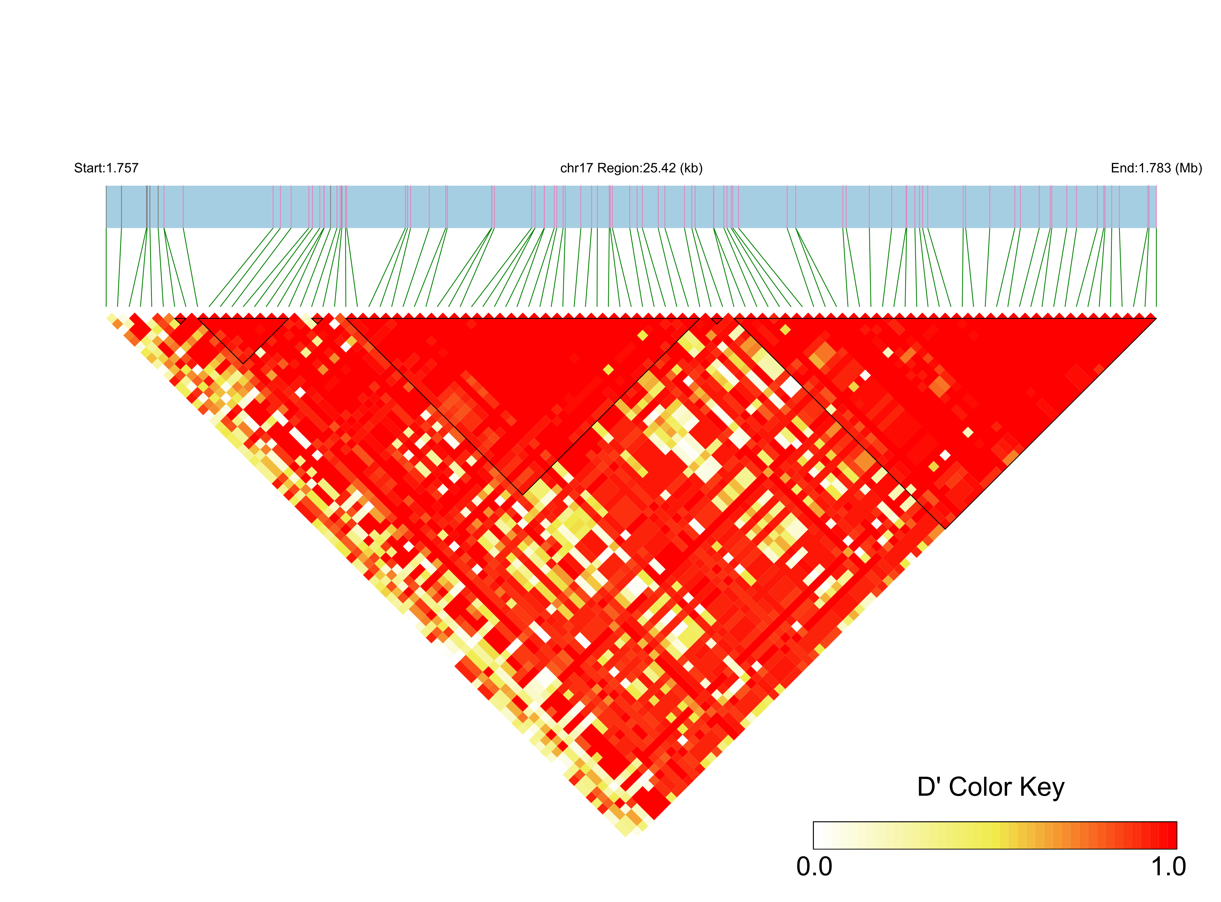 LD