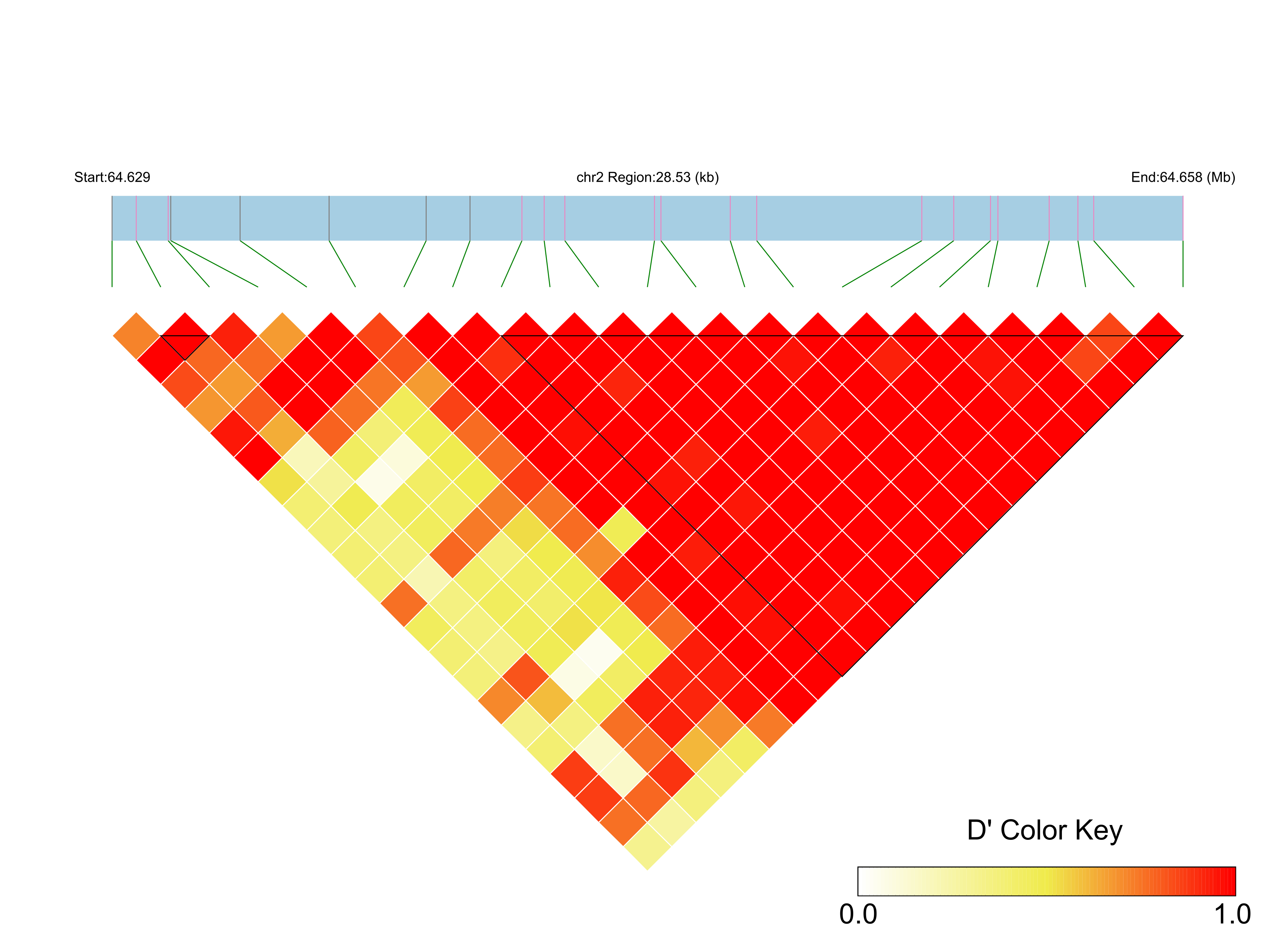 LD