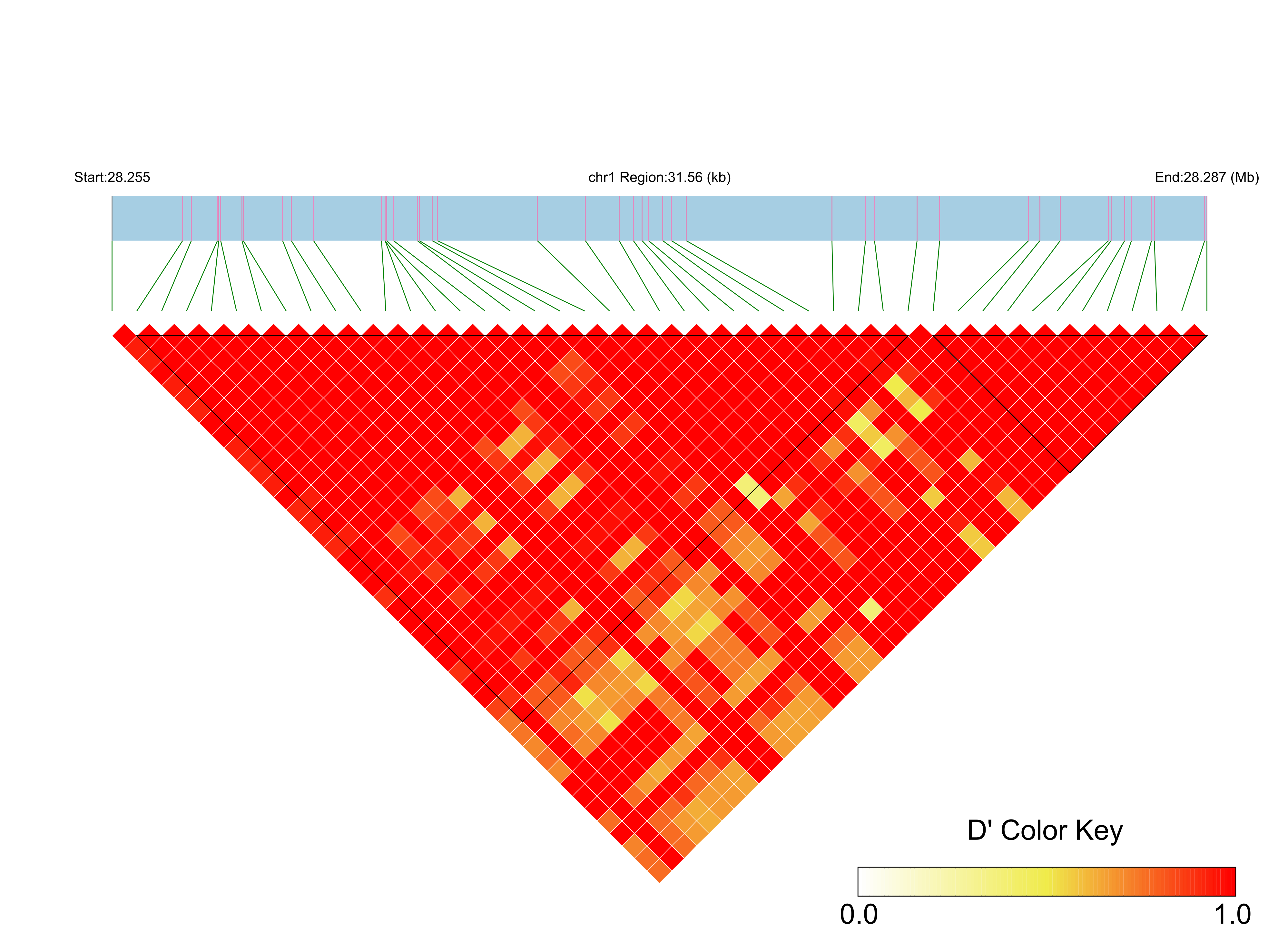 LD