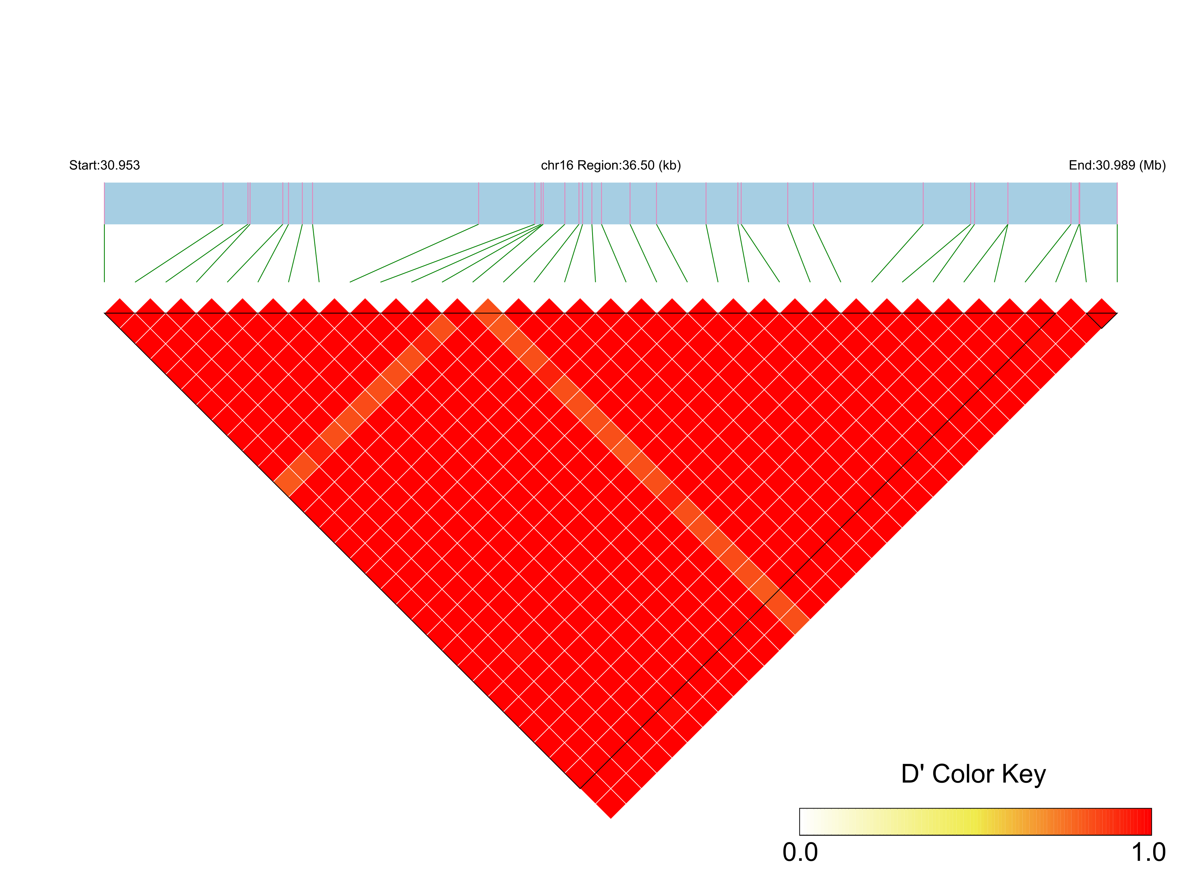 LD