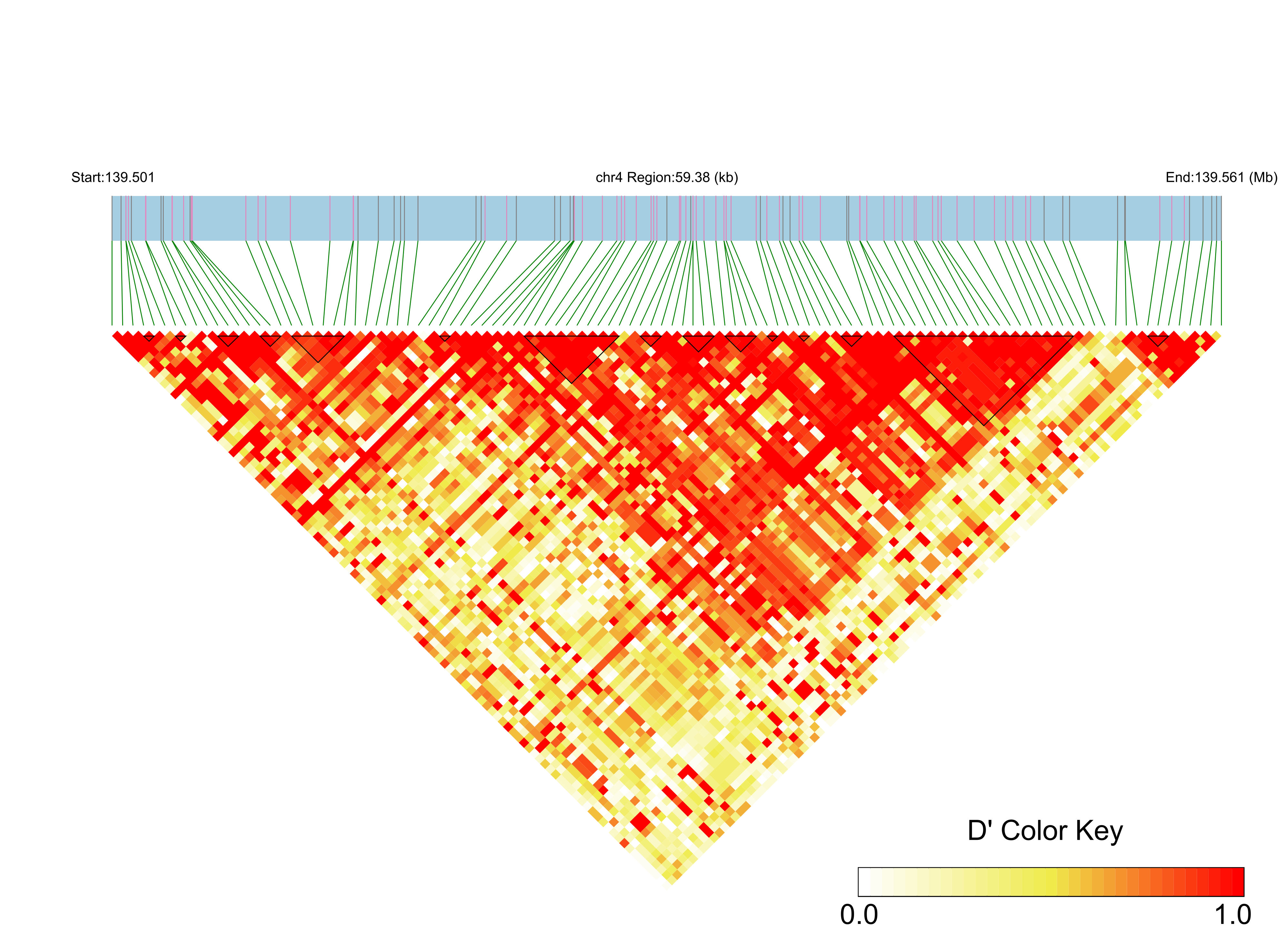 LD