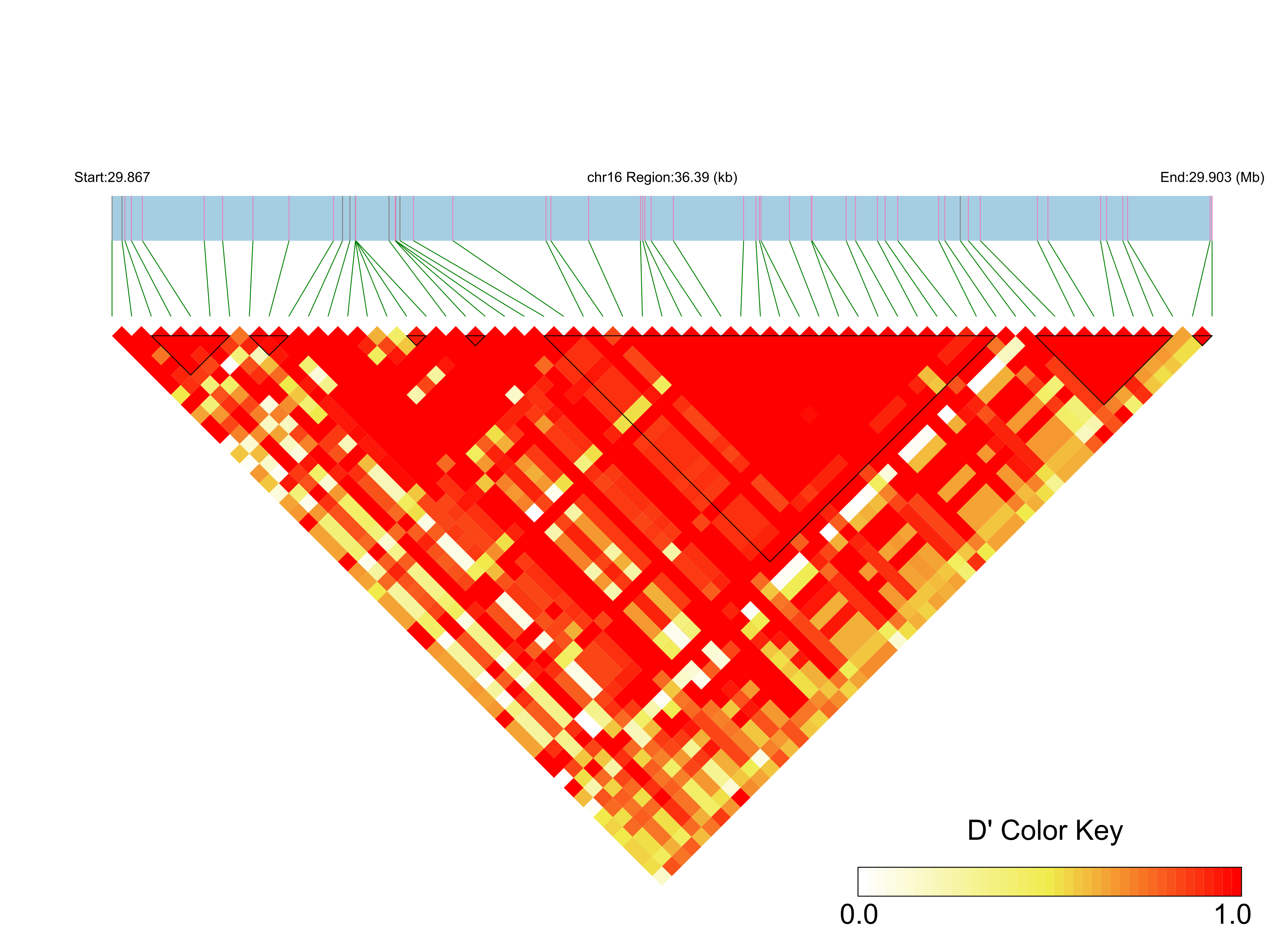 LD
