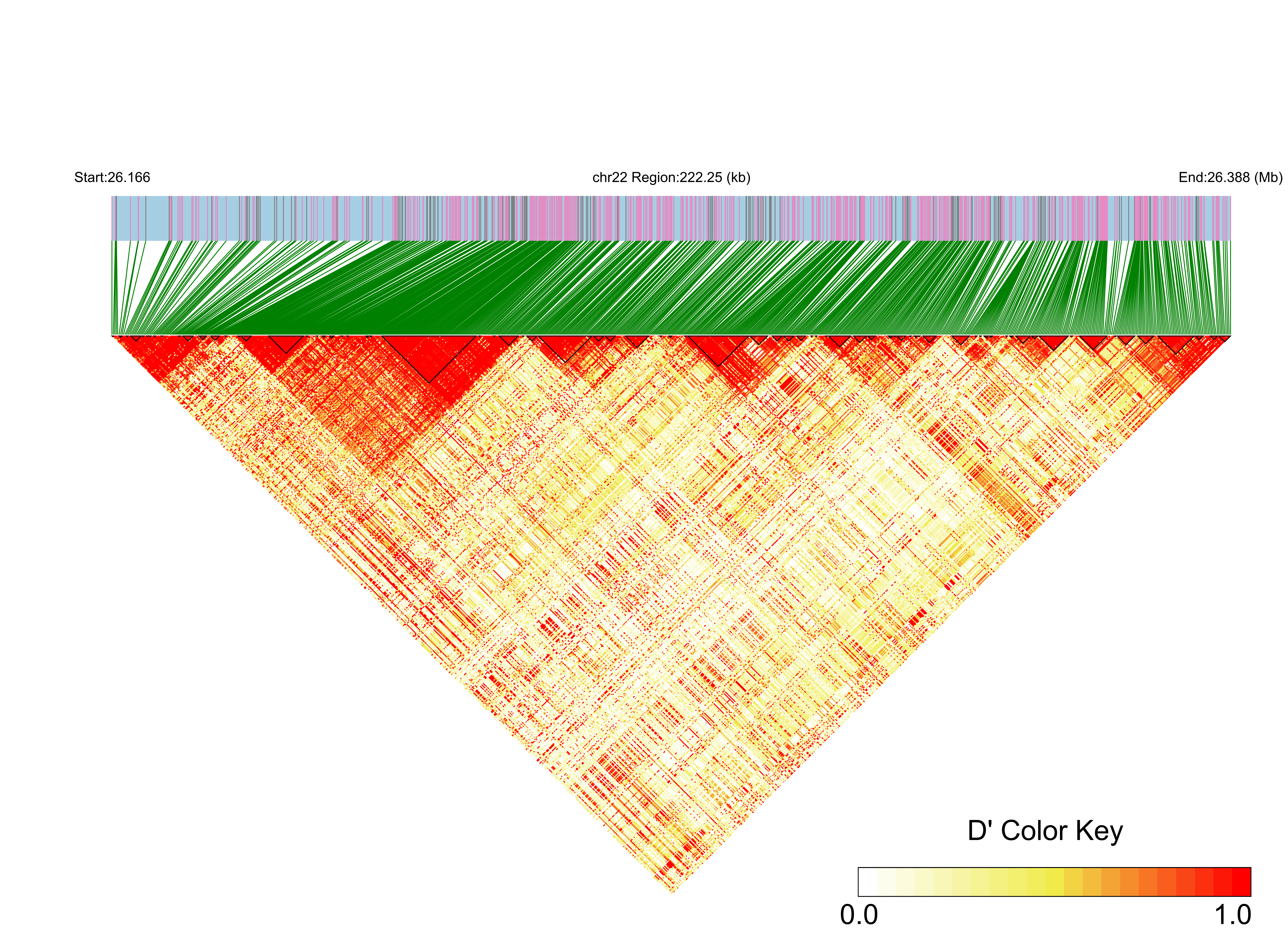 LD