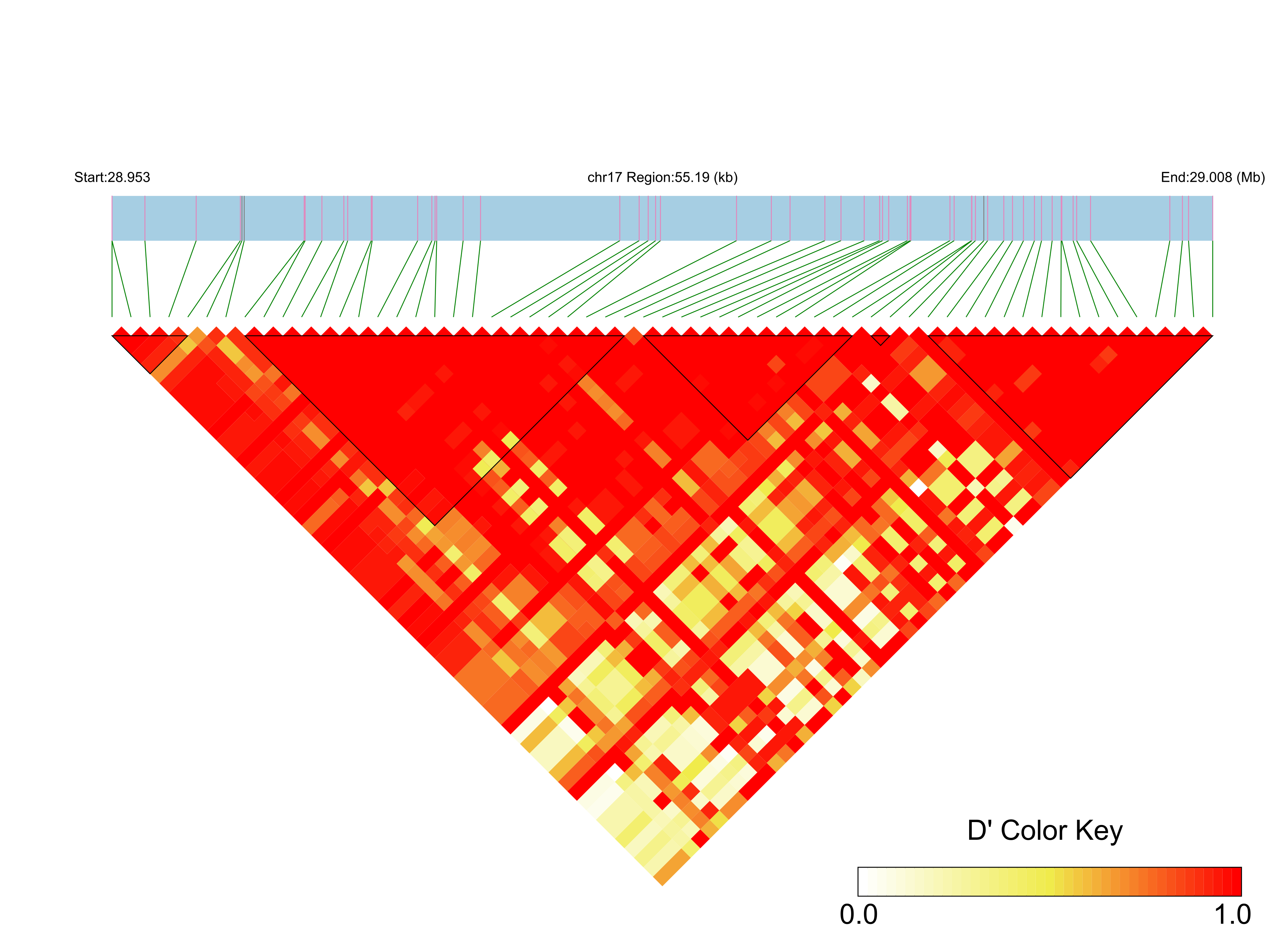 LD