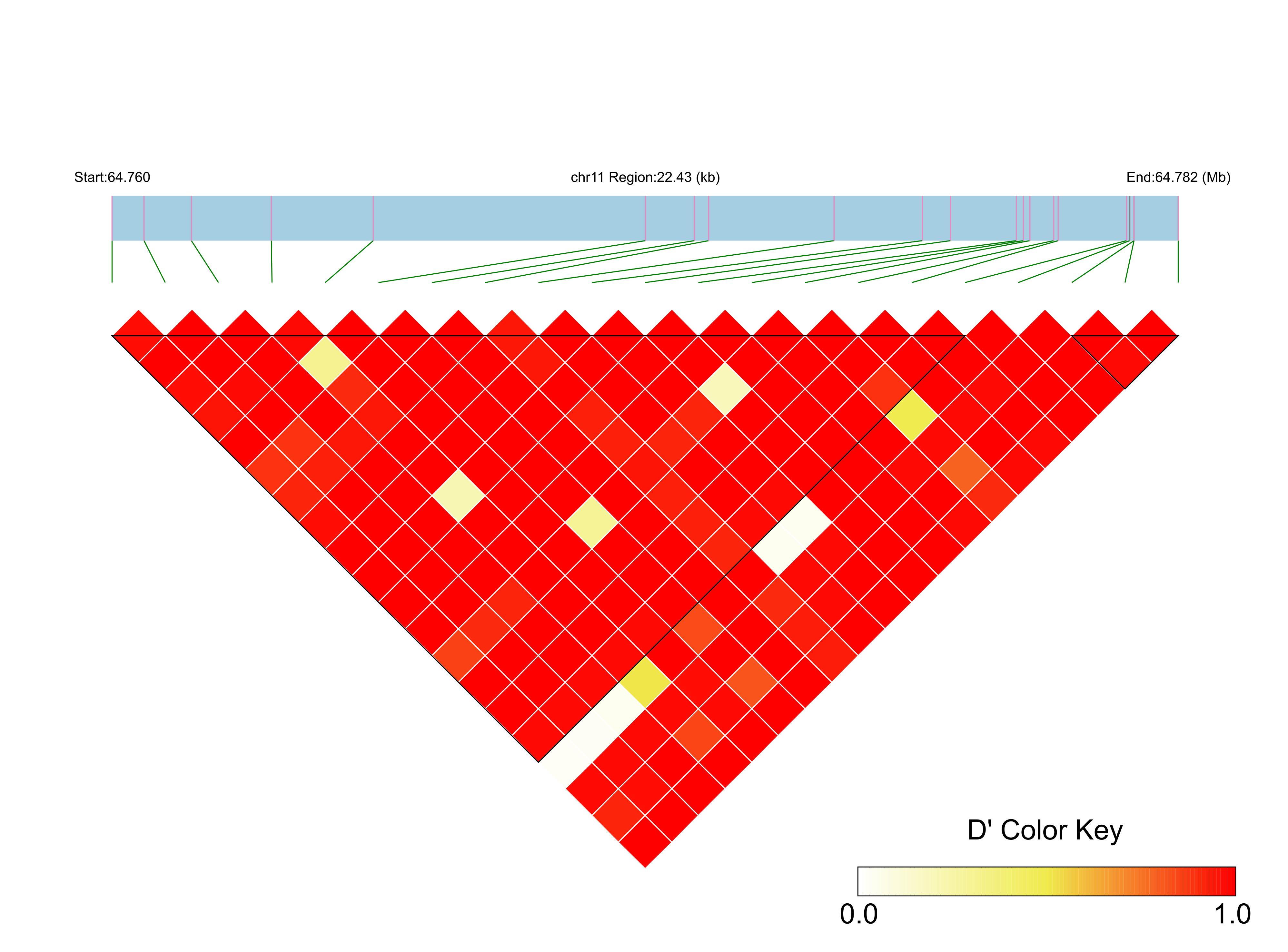 LD