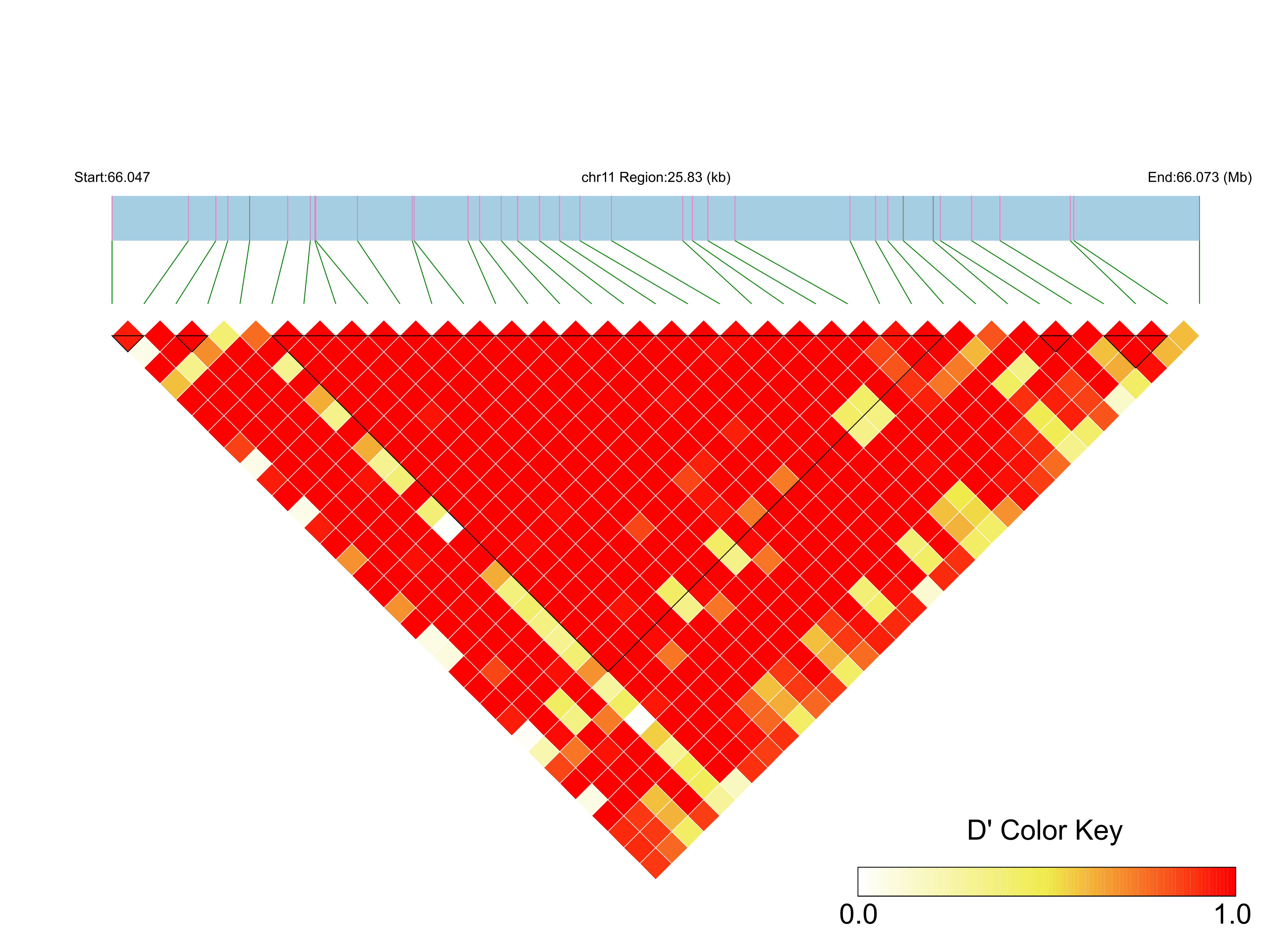 LD