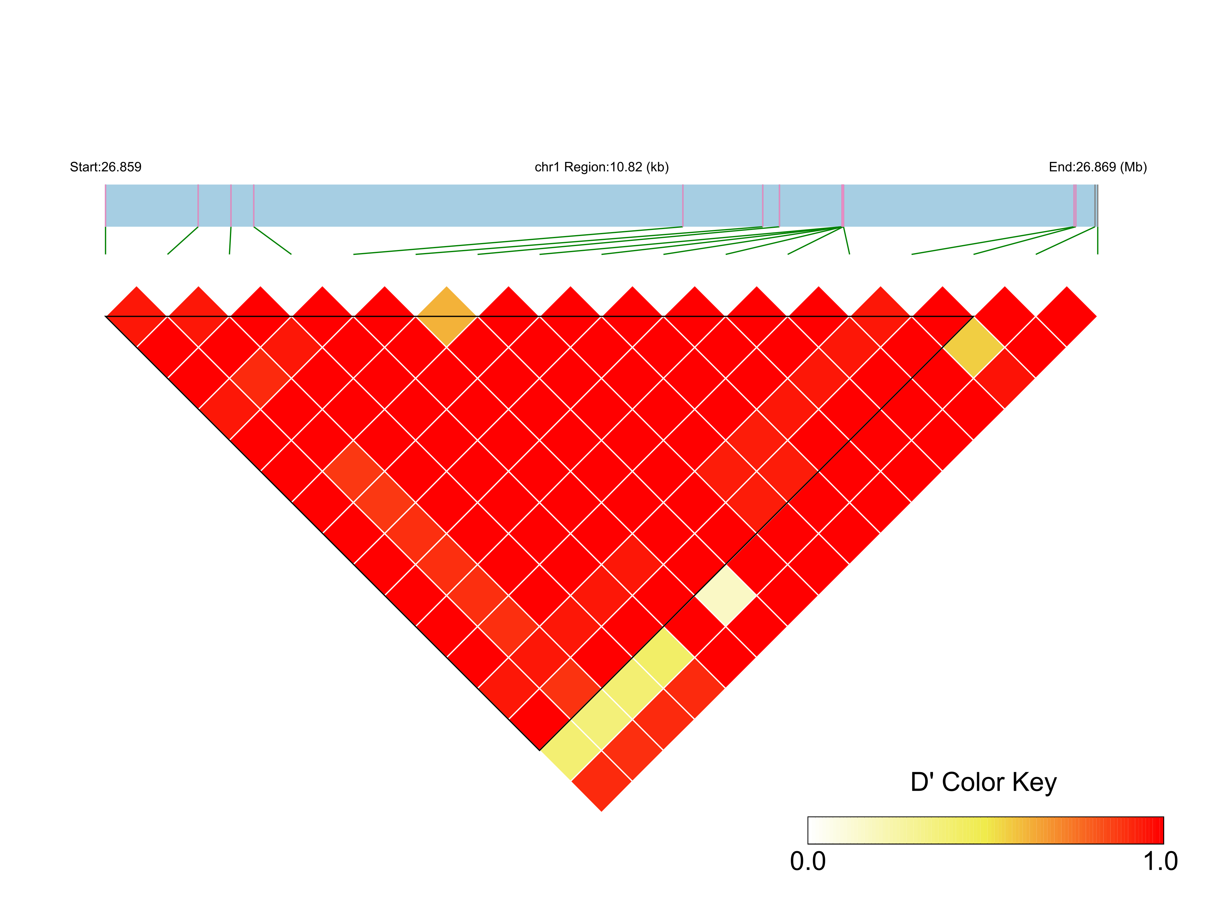 LD