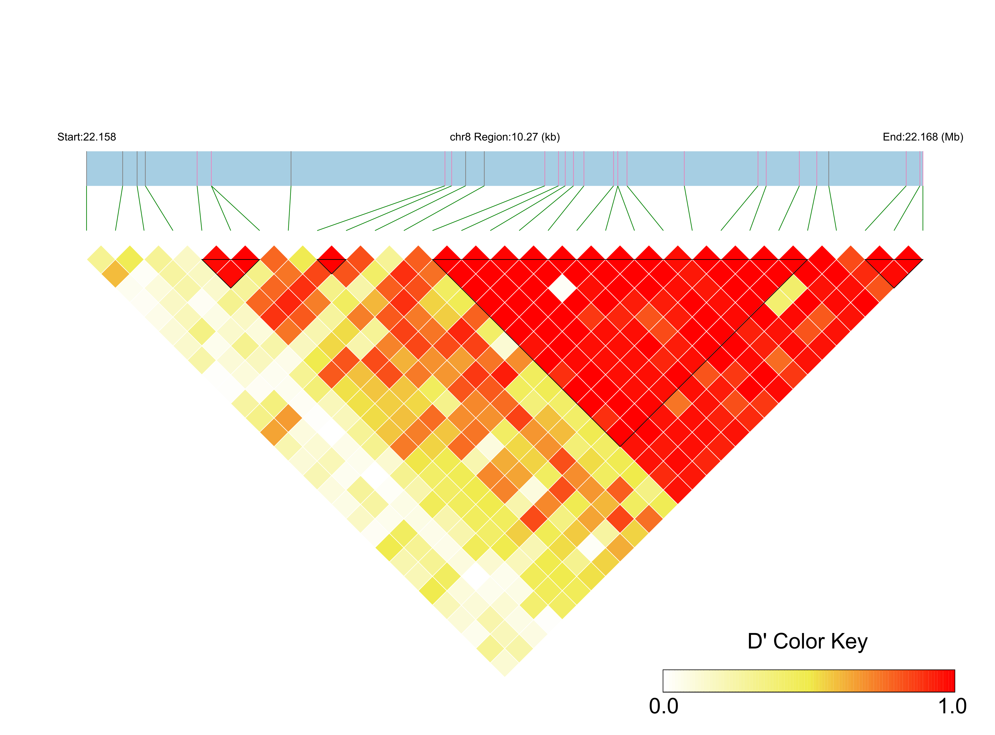 LD